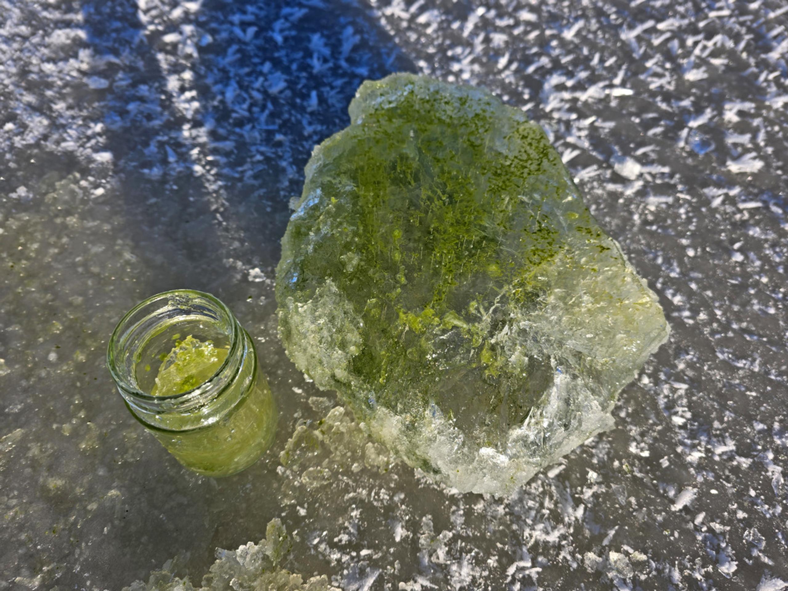 Vodnú nádrž Lipno pokryl zelený ľad zafarbený od siníc.