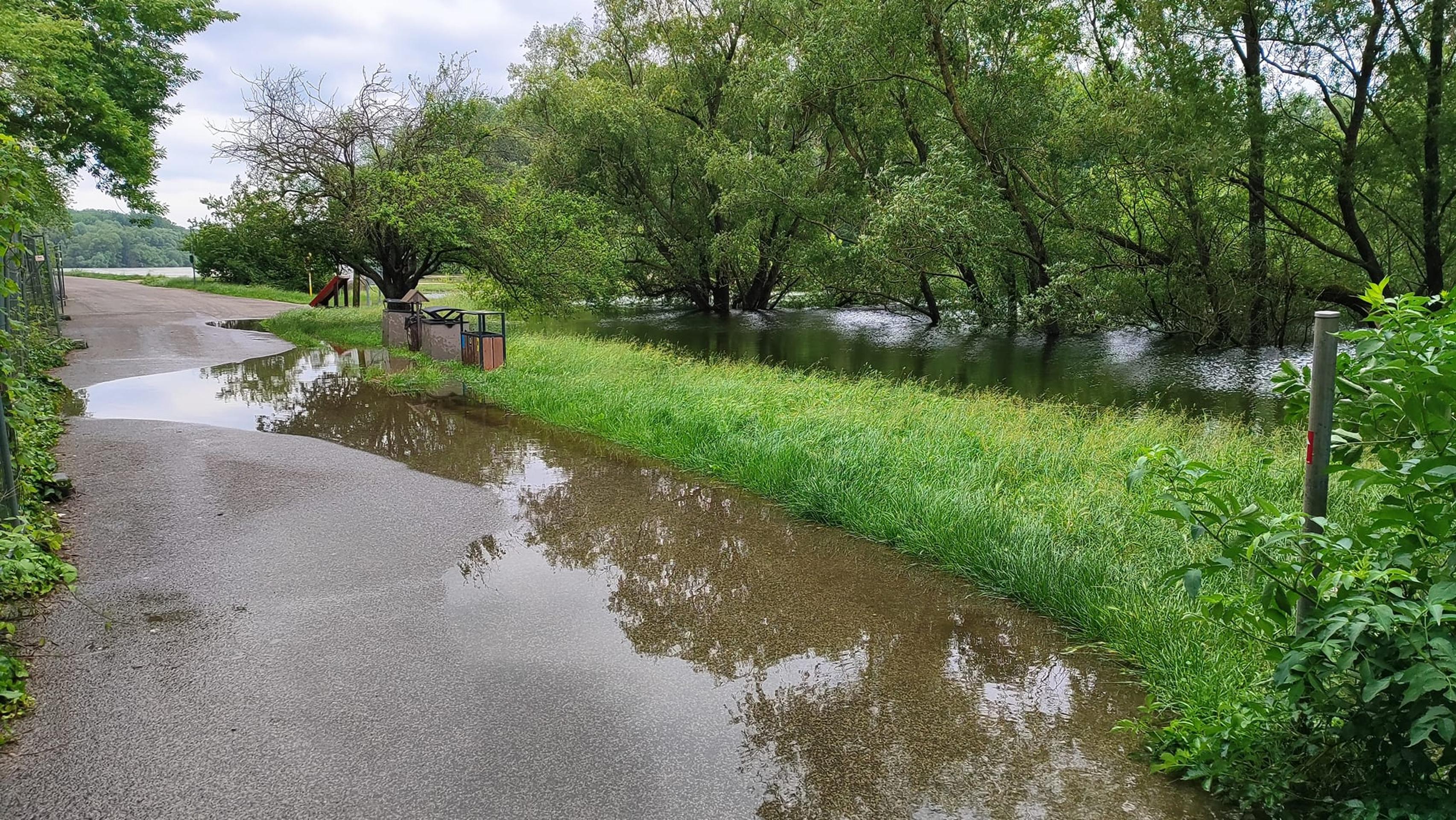 Dunaj pod hradom Devín. 