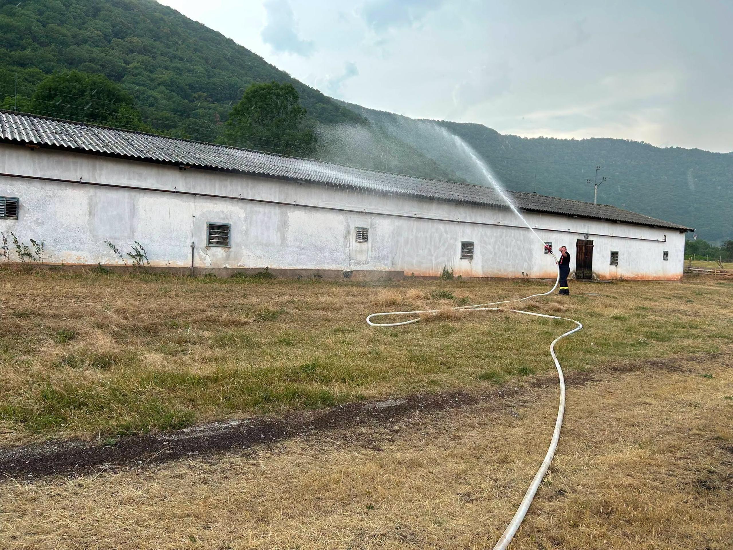 Hasiči zasahovali pri záchrane 20-tisíc kurčiat