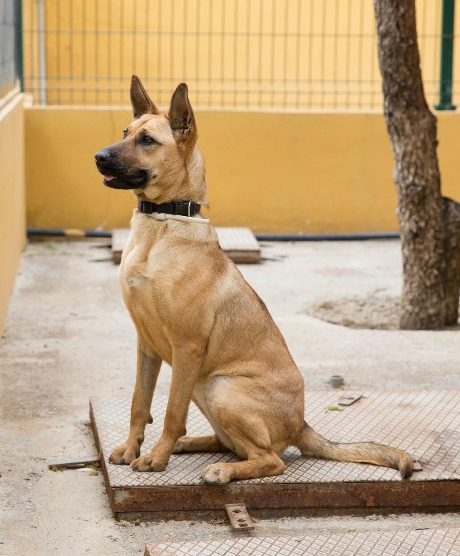 Takto teraz Barilla vyzerá.