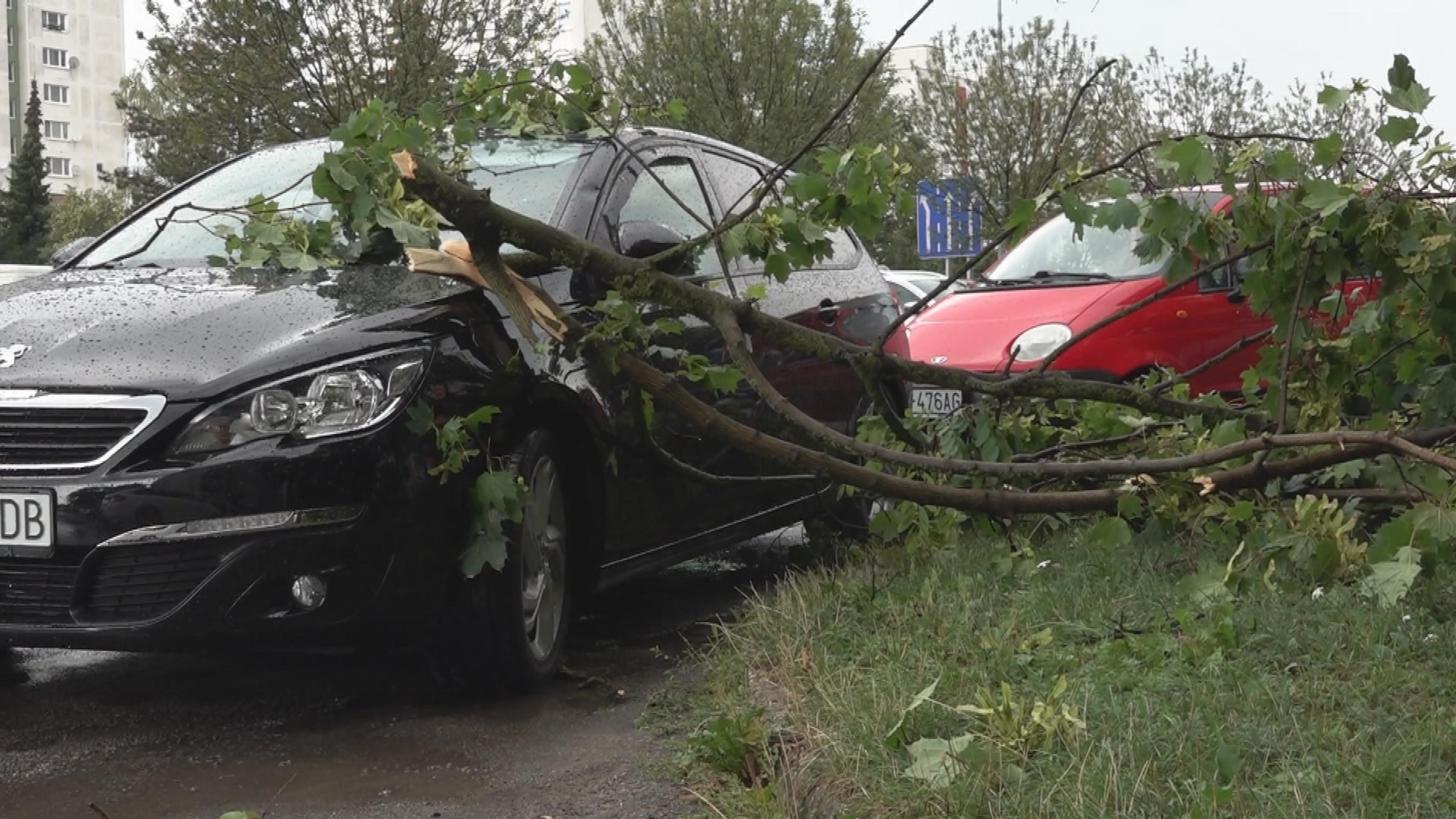 Strom spadol na auto v Dubnici nad Váhom.