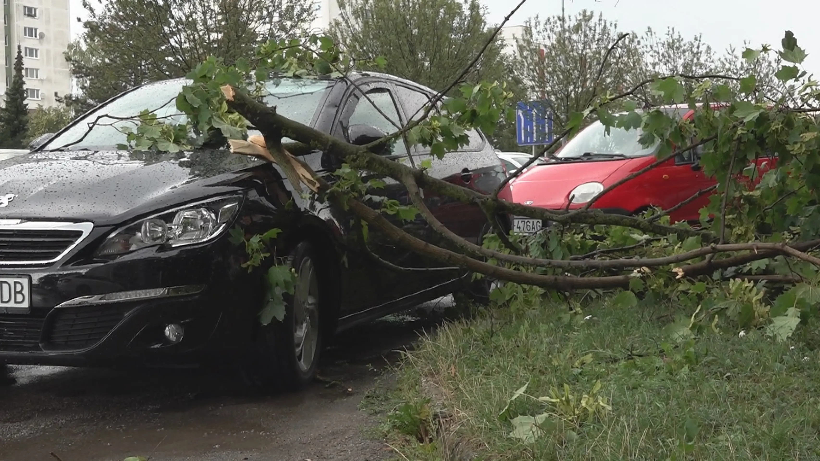 Strom spadol na auto v Dubnici nad Váhom.