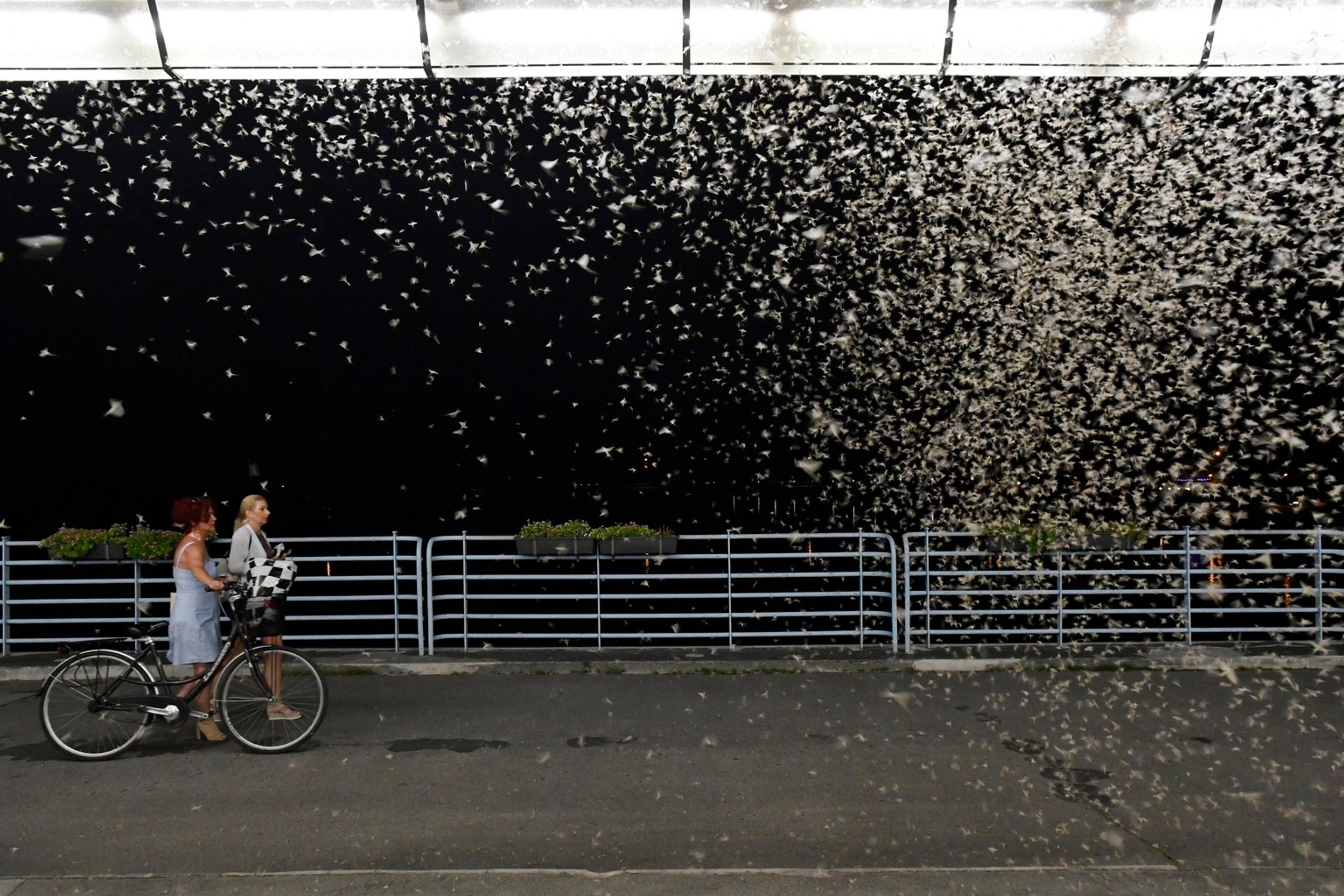 Na snímke Kolonádový most cez rieku Váh počas večerného rojenia podeniek