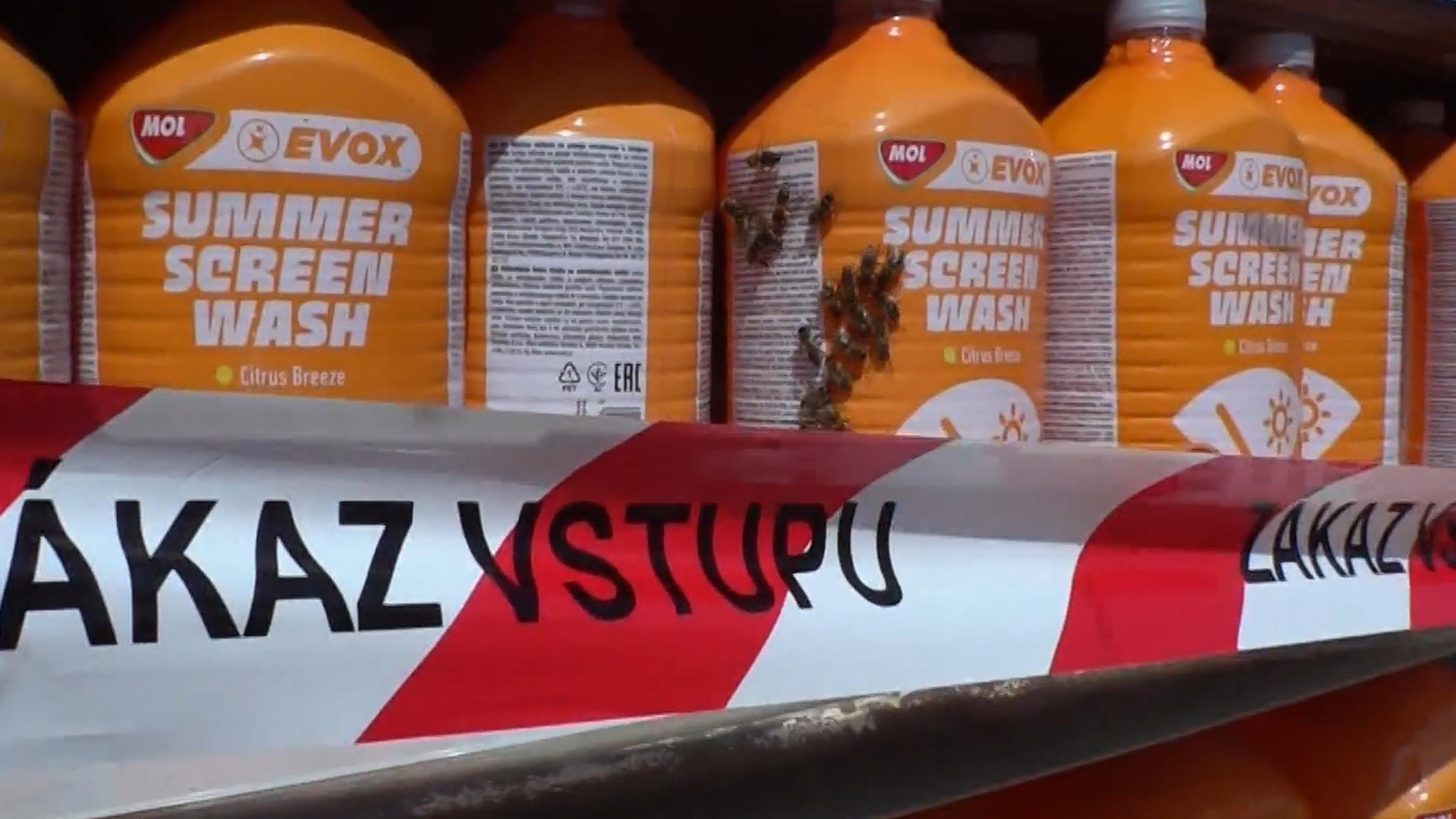 Muž vypustil z auta včely a odišiel