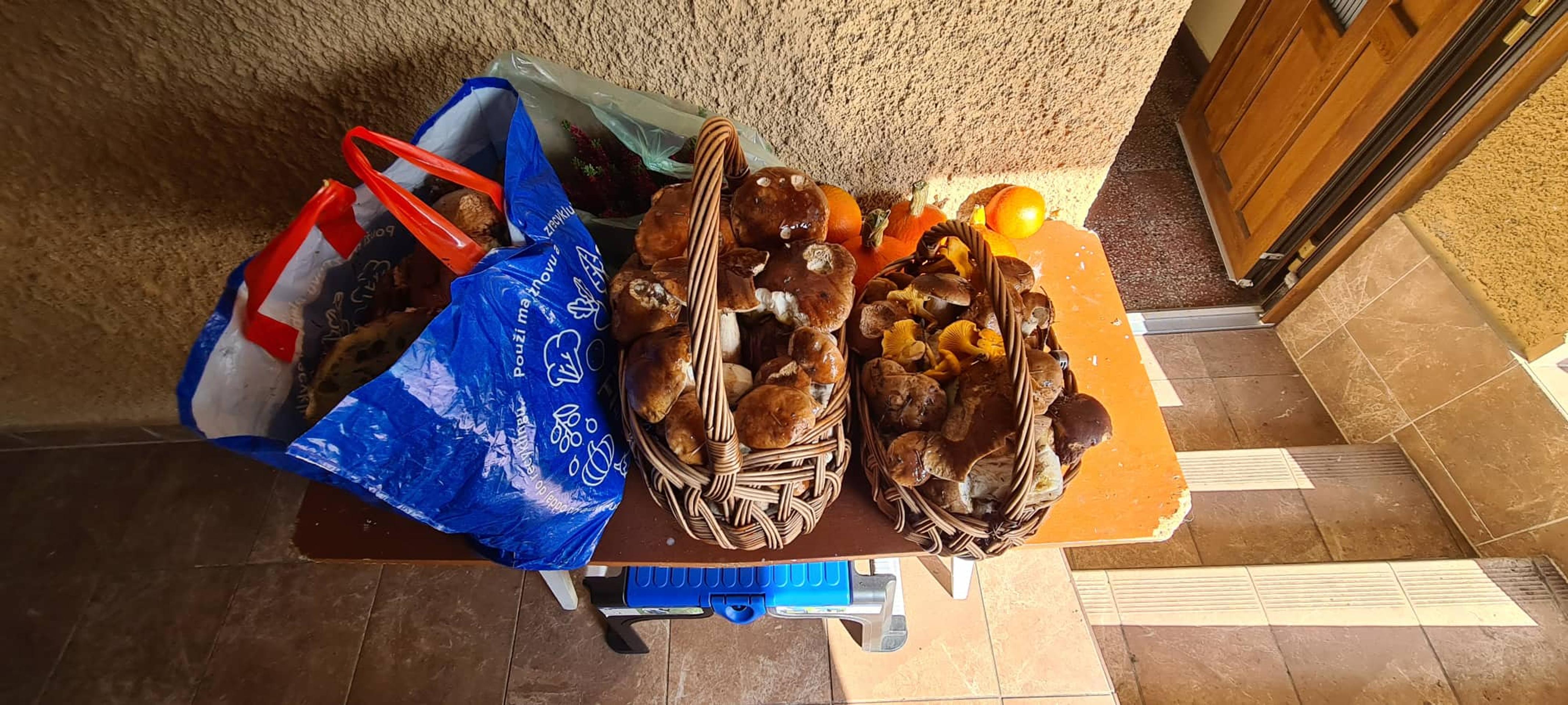 Jozef z Bánoviec nad Bebravou