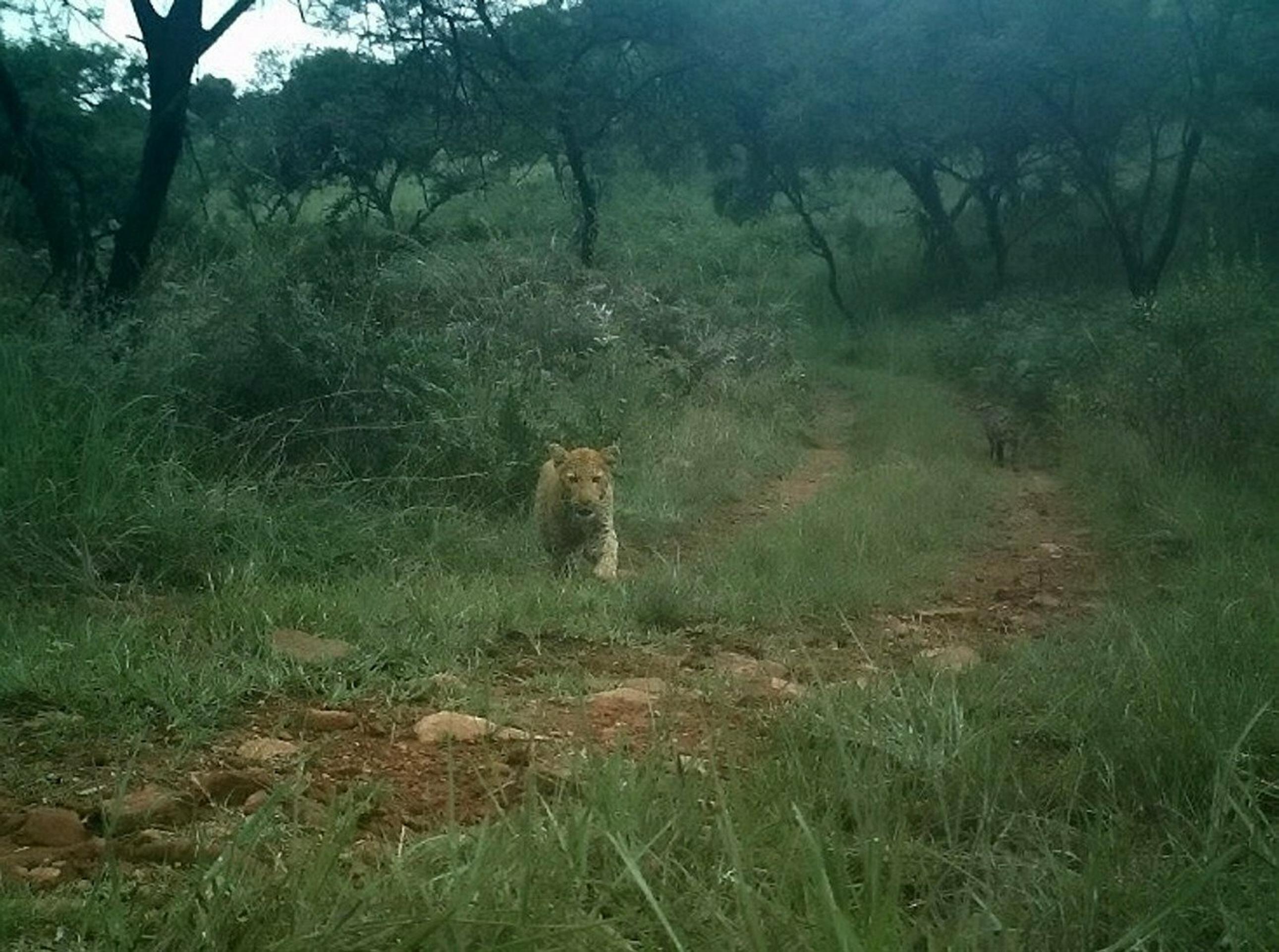 Alan Watson a jeho žena Lynsey.