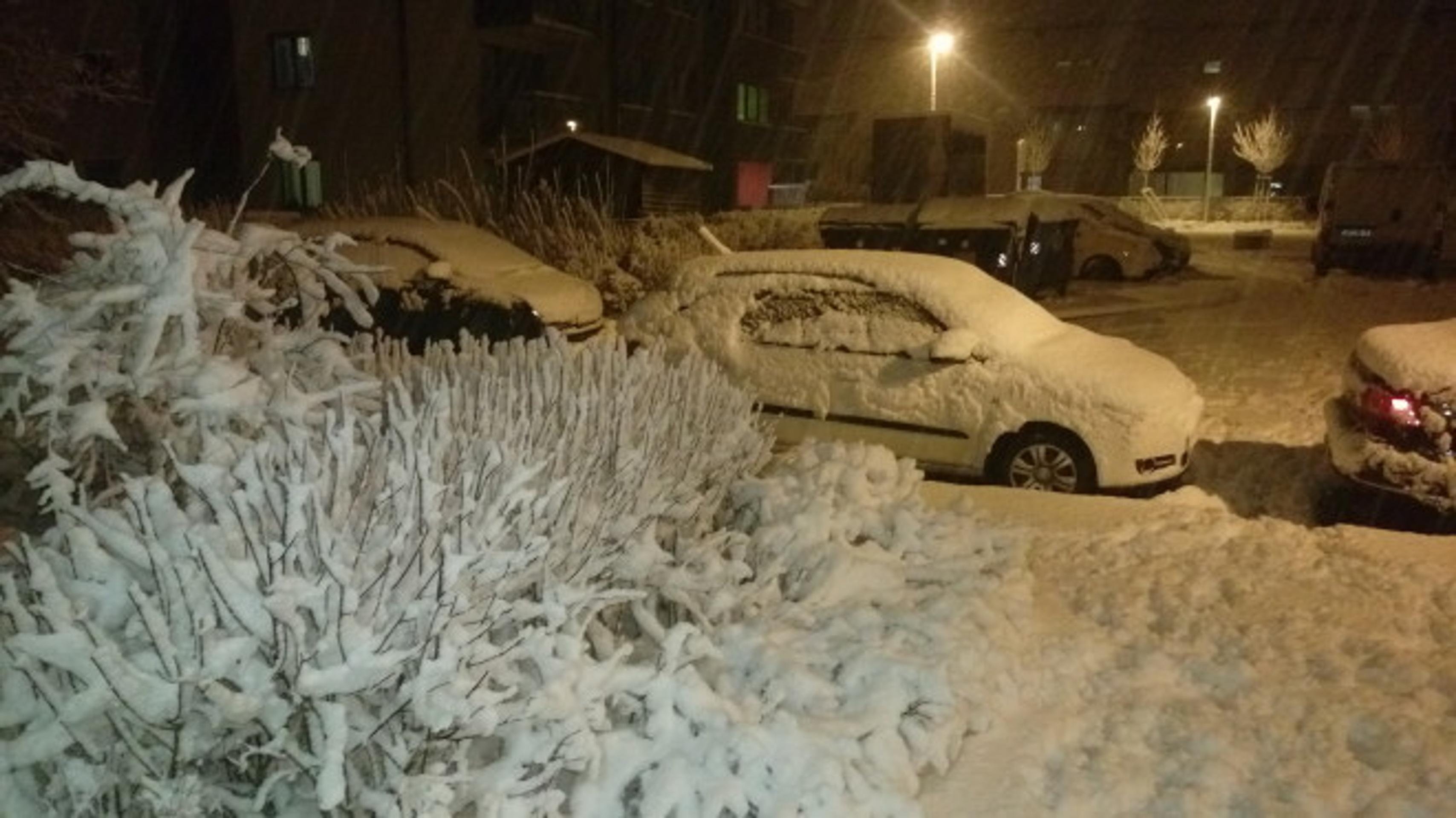 Snehová kalamita v Česku. 