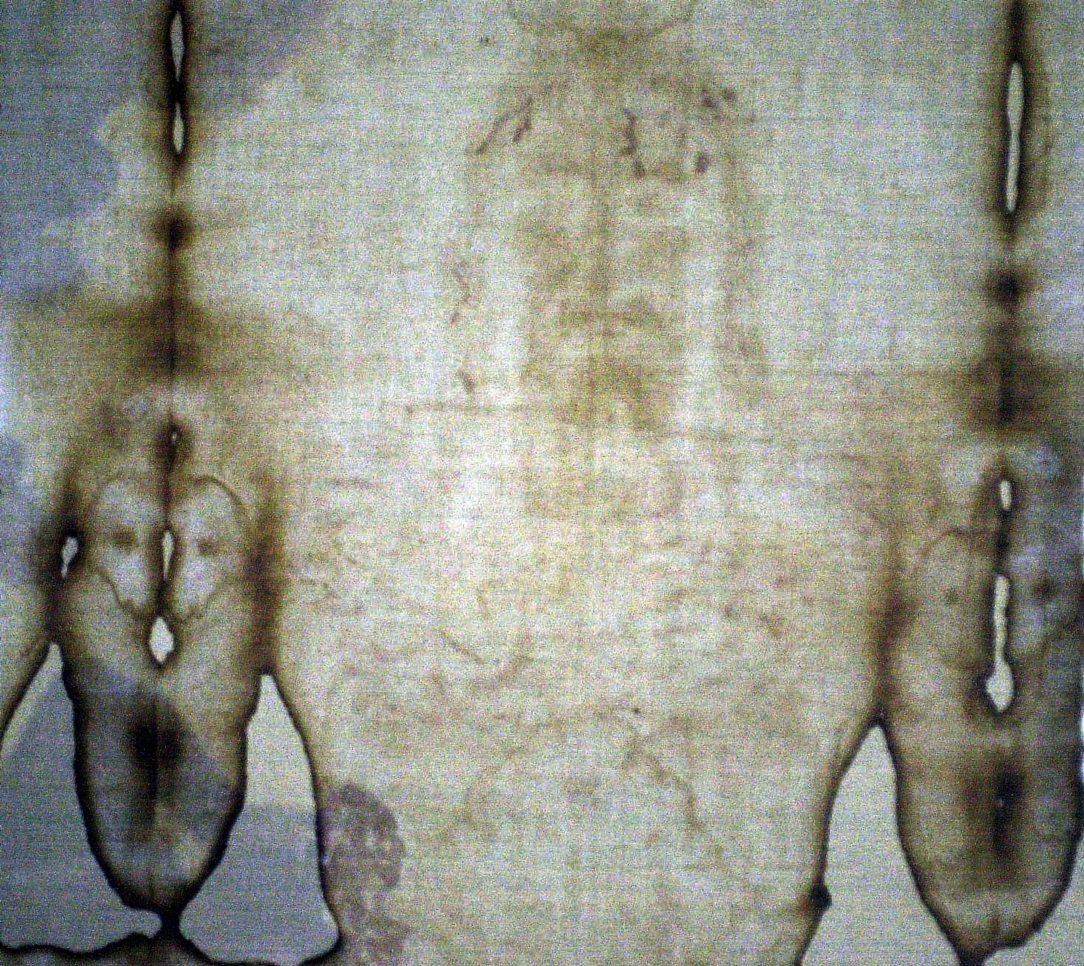 Kópia turínskeho plátna.