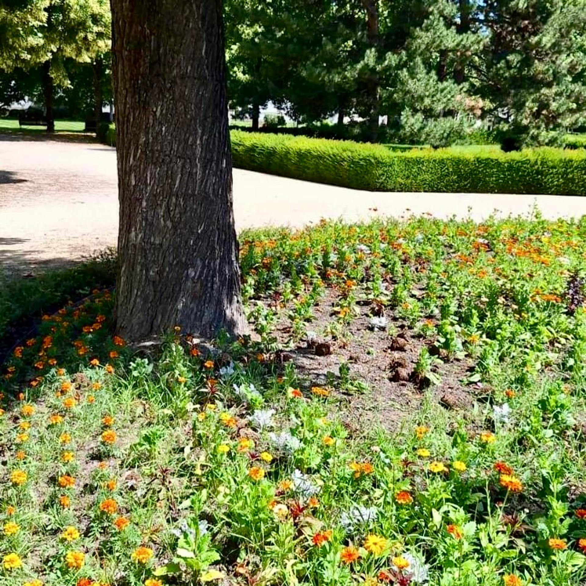 417405999_768101142180669_1620065532589042931_n