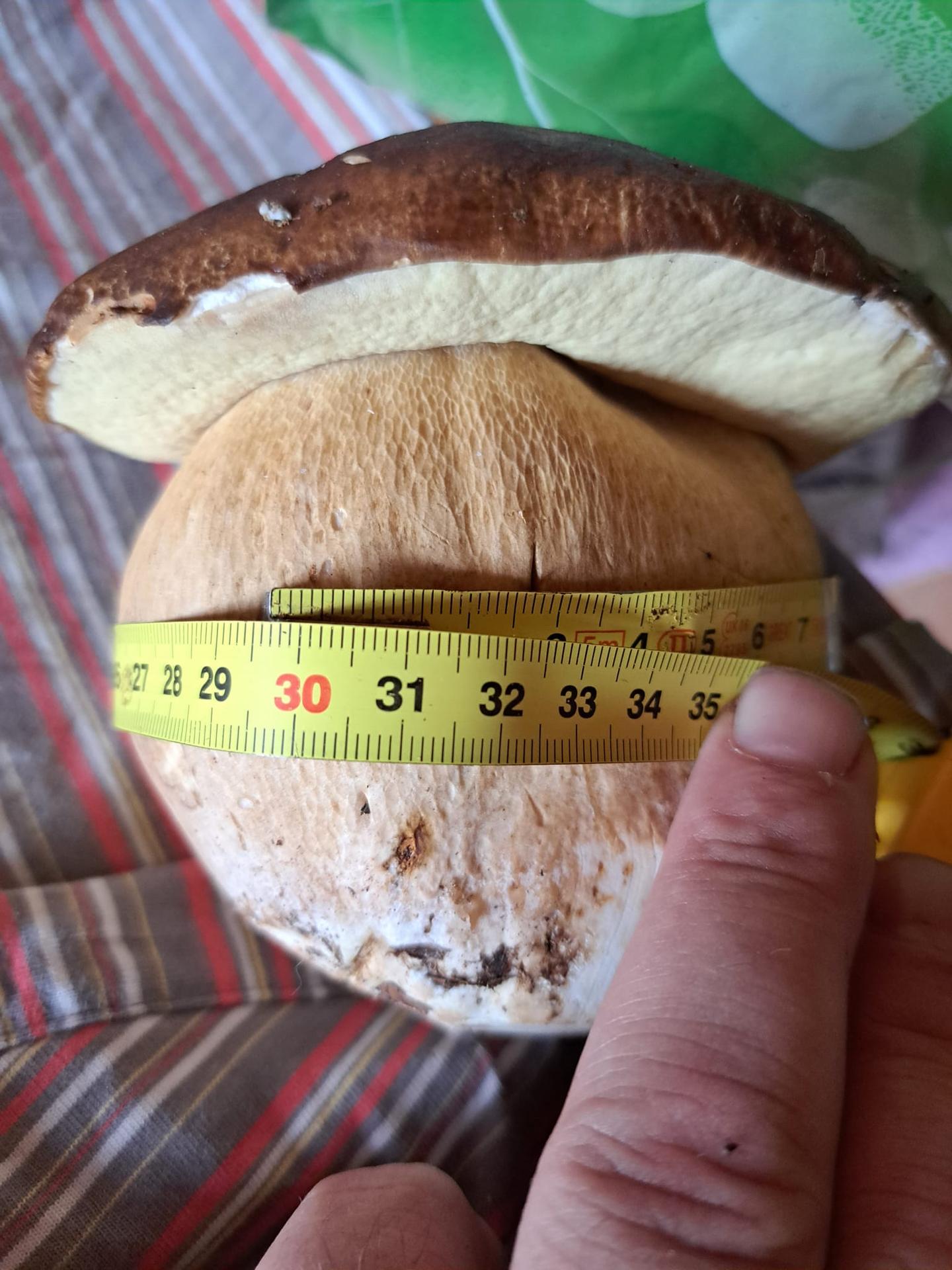 Tento valibuk patrí Júliusovi Mikušovi, ktorý ho našiel pri Bánovciach nad Bebravou.