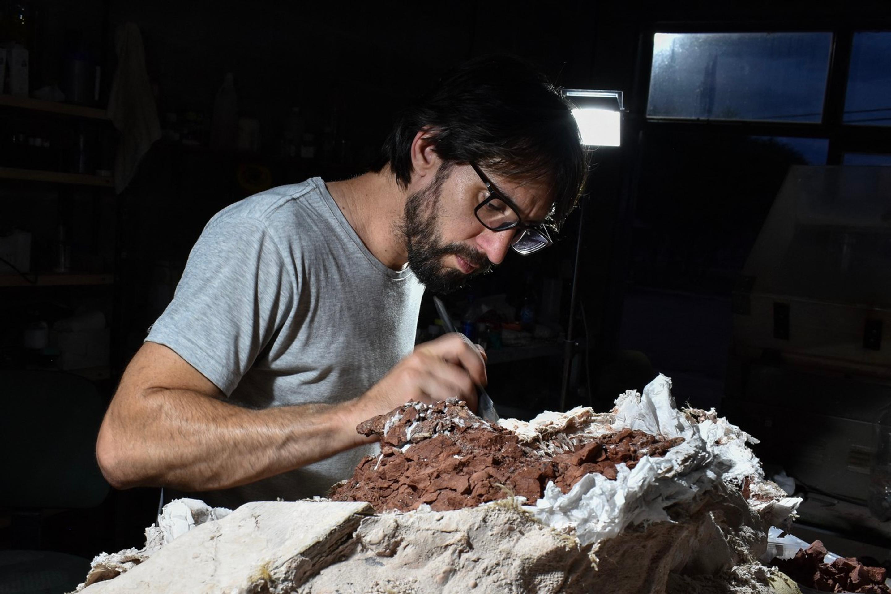 V Argentíne objavili takmer kompletnú kostru dinosaura Huayracursor jaguensis.