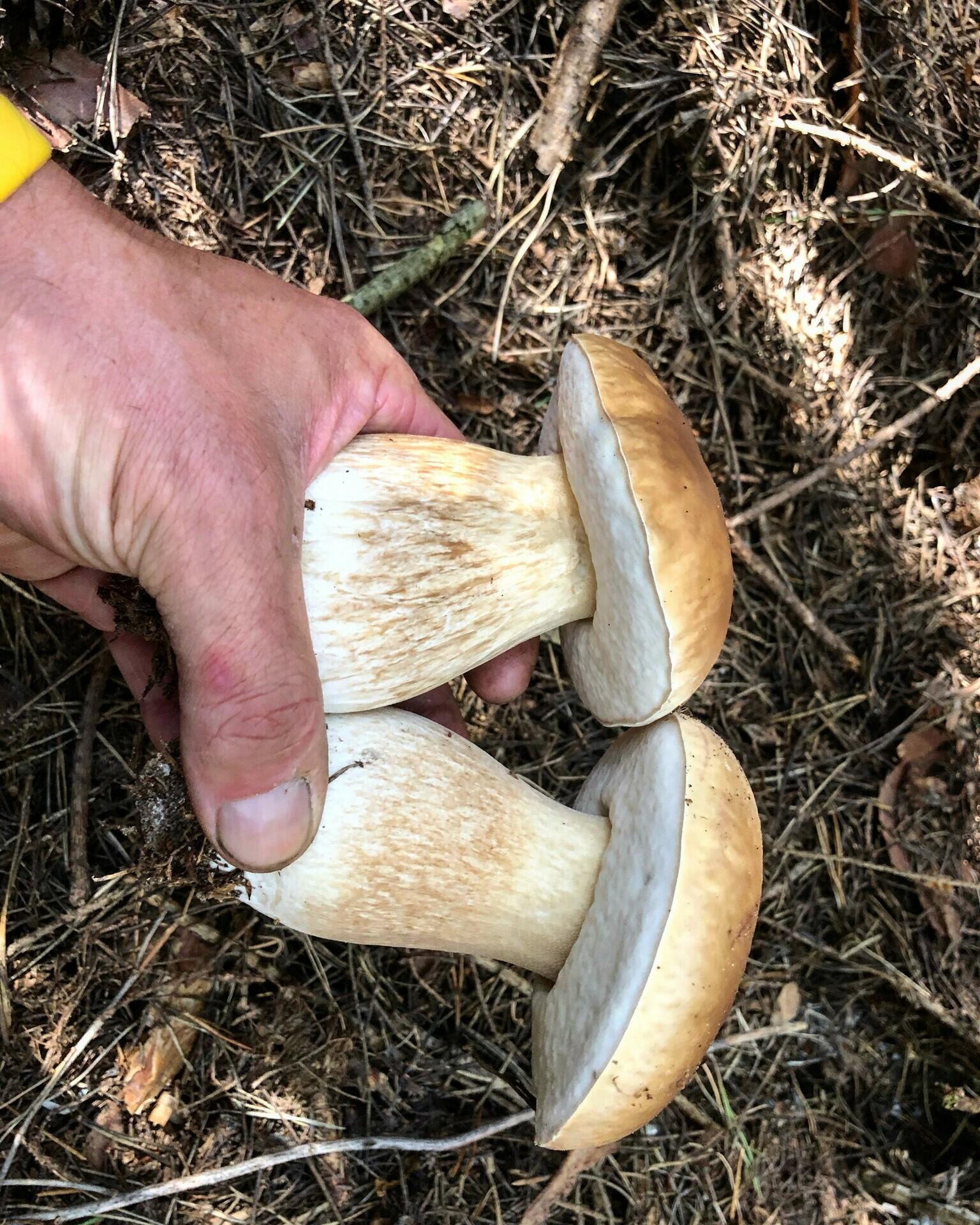 Archívna snímka Erika Valentoviča.