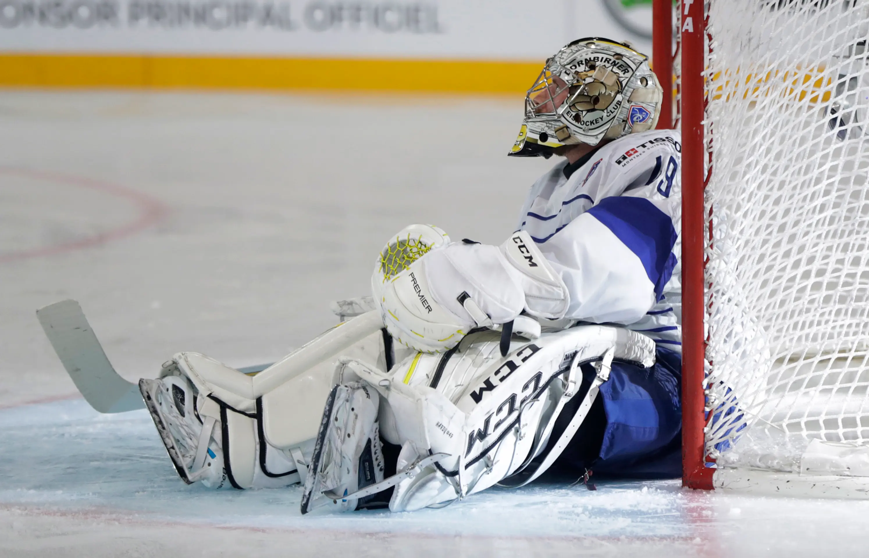 Francúzsky gólman Florian Hardy po góle v dueli MS 2017 proti Kanade.