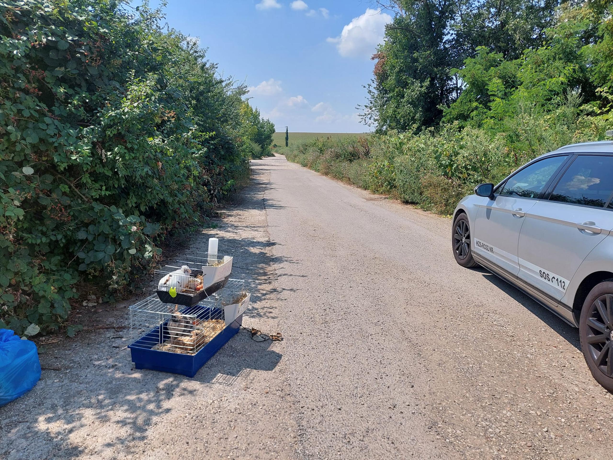 Nitriansky útulok zachraňoval z horúcich klietok zajace