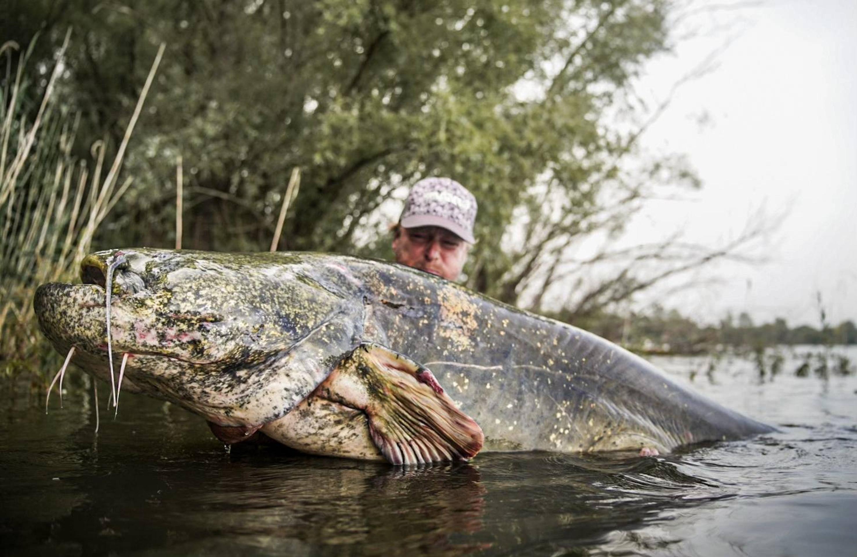 Jakub Vágner ulovil rekordného sumca.