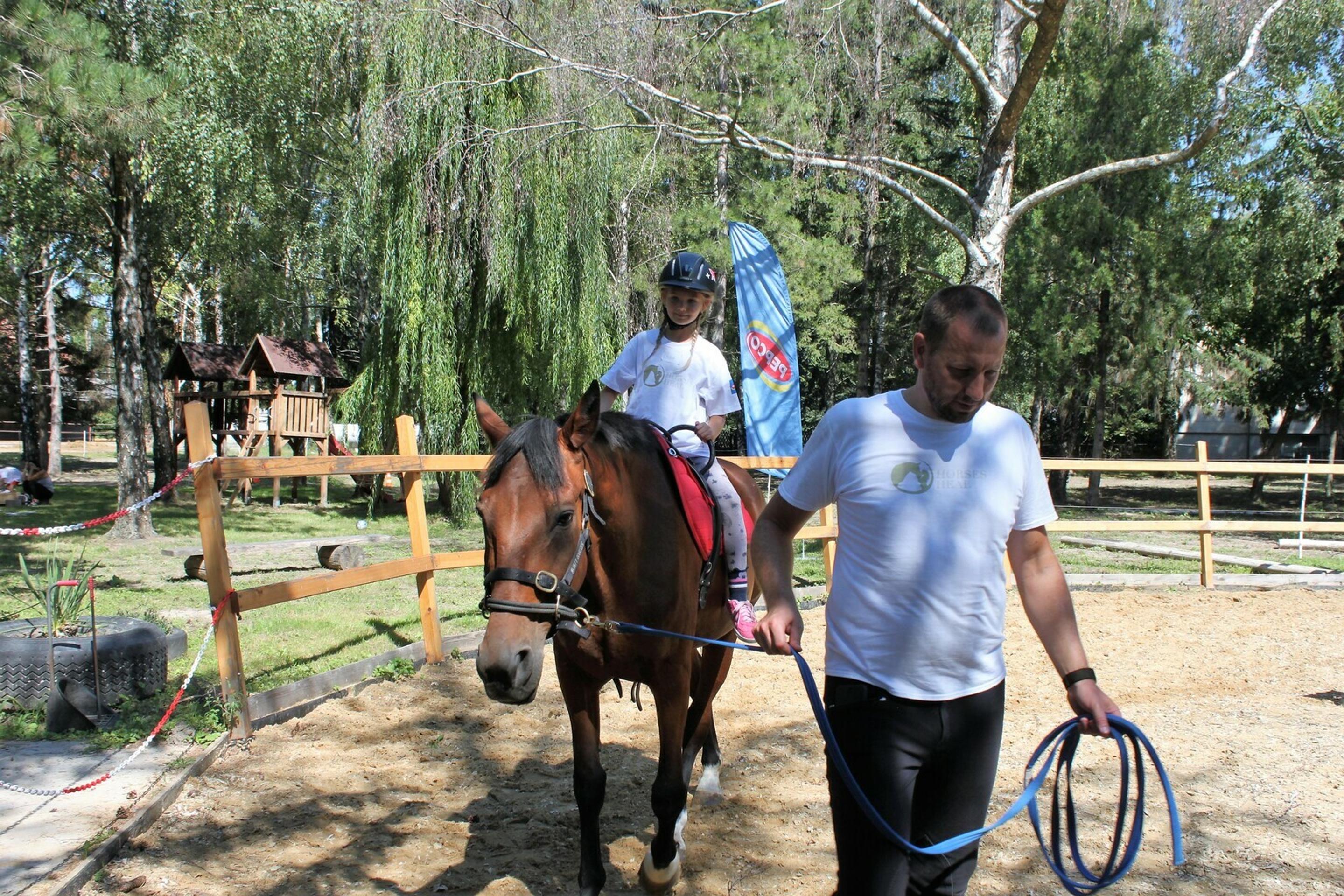 Na priaznivé účinky koní na ľudí 