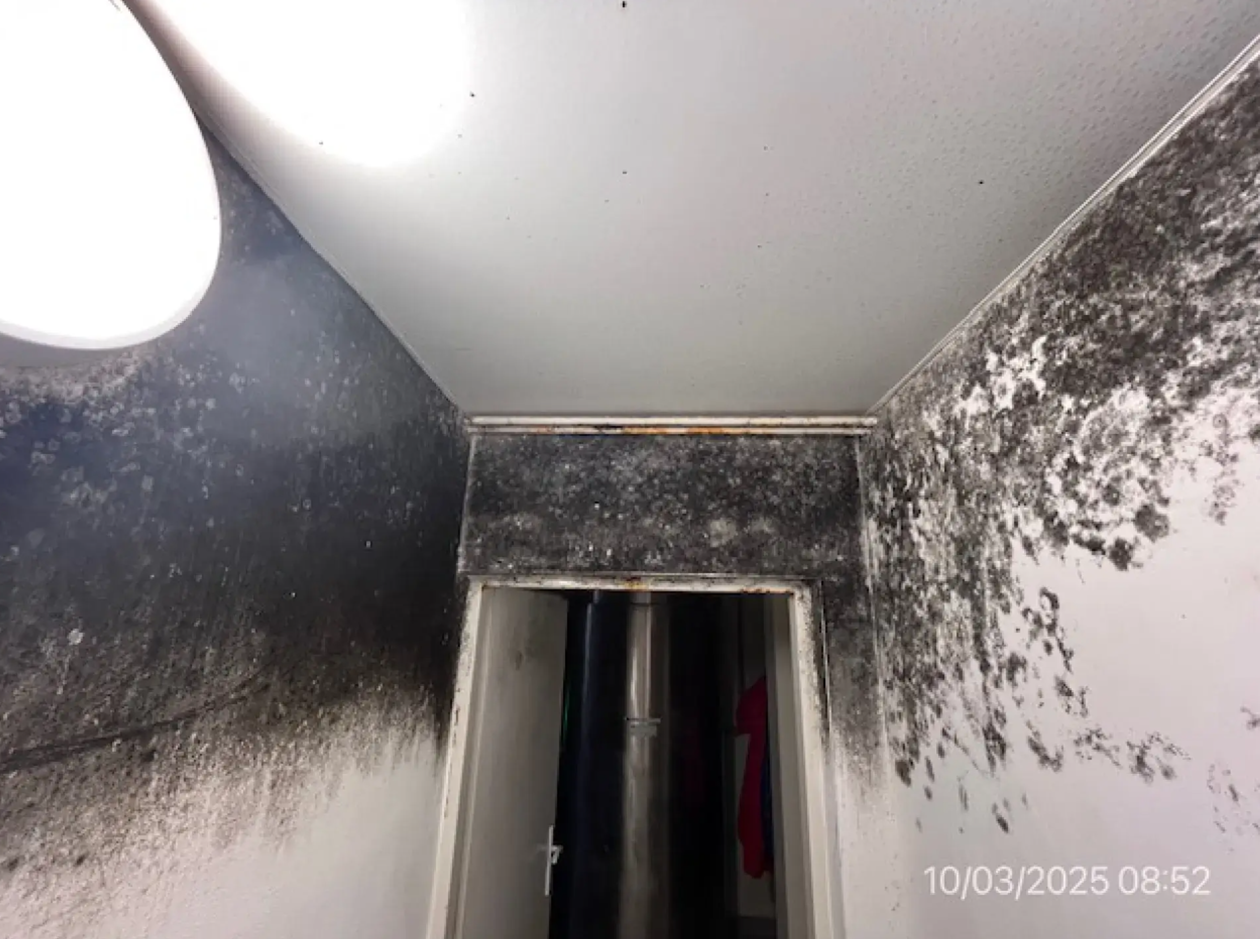 Steny v potravinárskej výrobni pokryté plesňou, marec 2025.