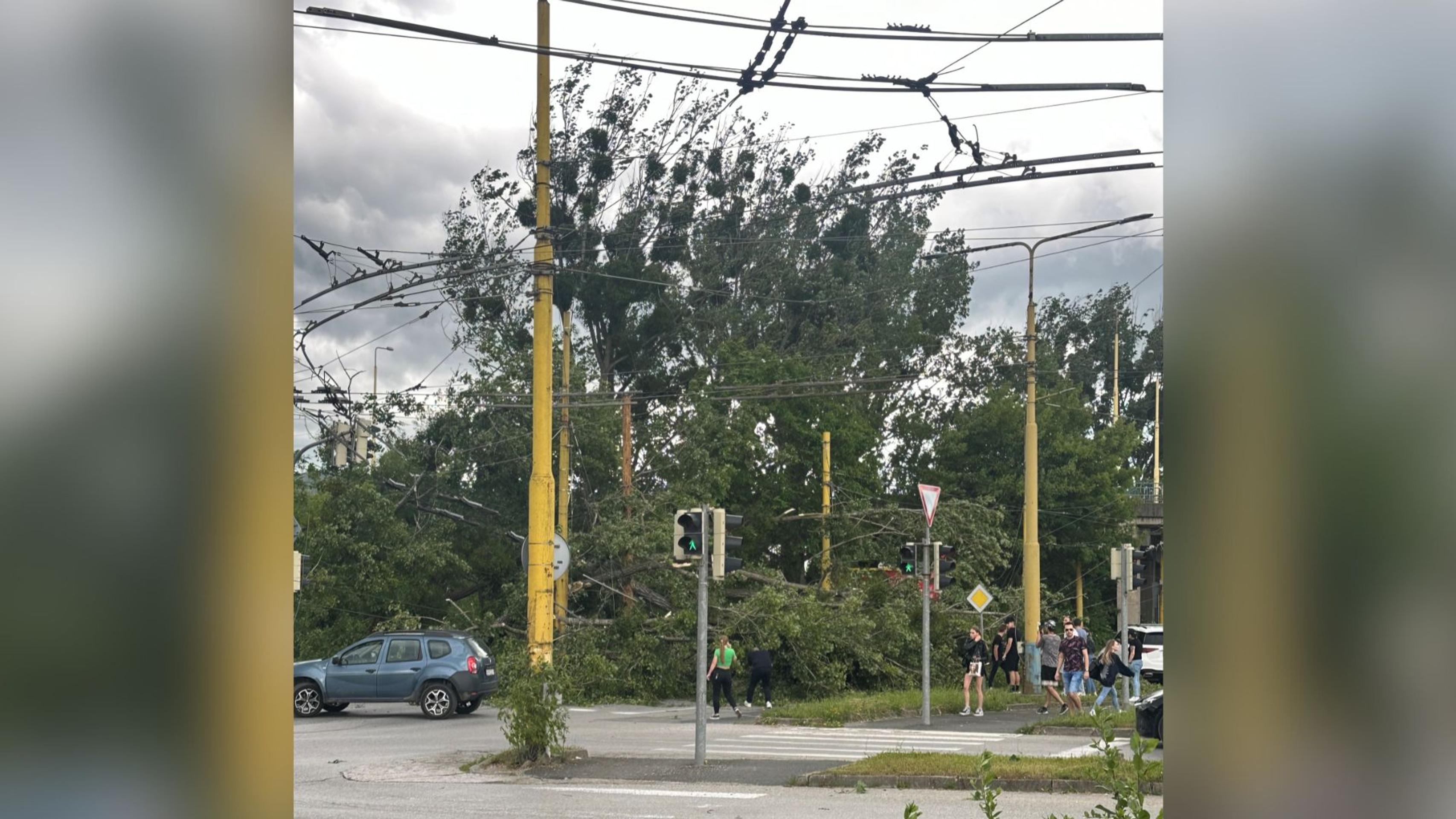 Spadnutý strom potrhal elektrické vedenie.