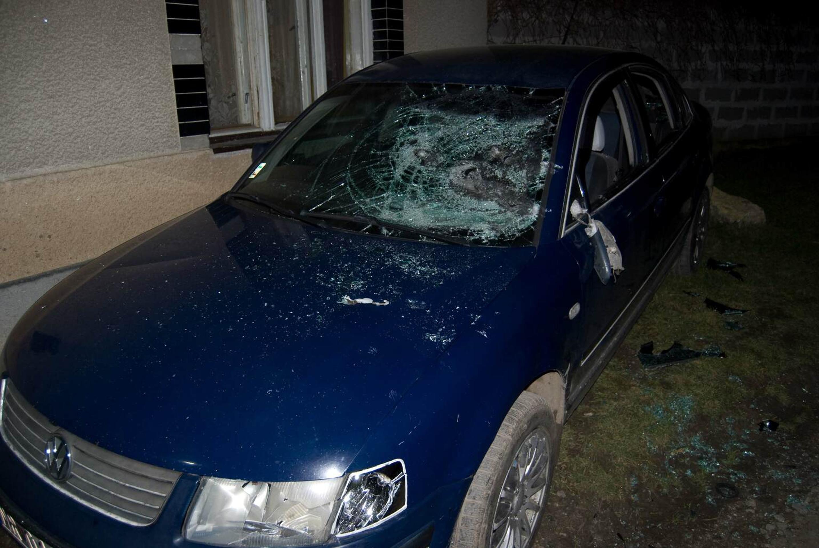 DU_84_MO-14- STE-02.jpg