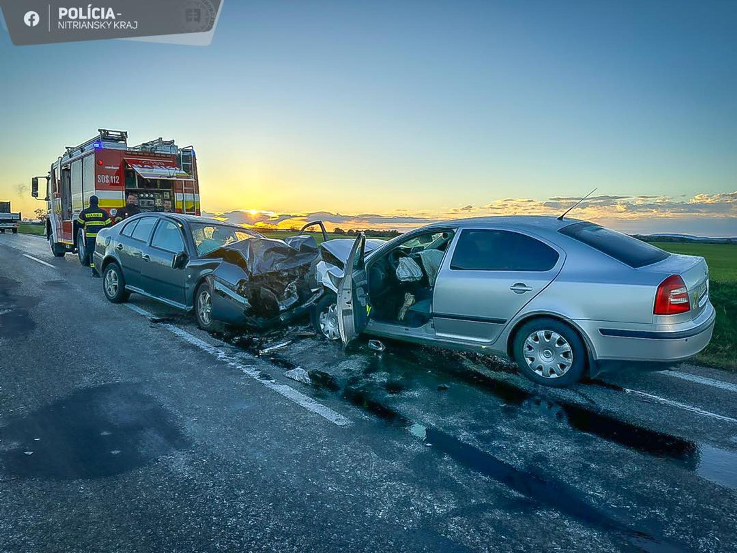 Vodič prešiel do protismeru, zrážku neprežila spolujazdkyňa.
