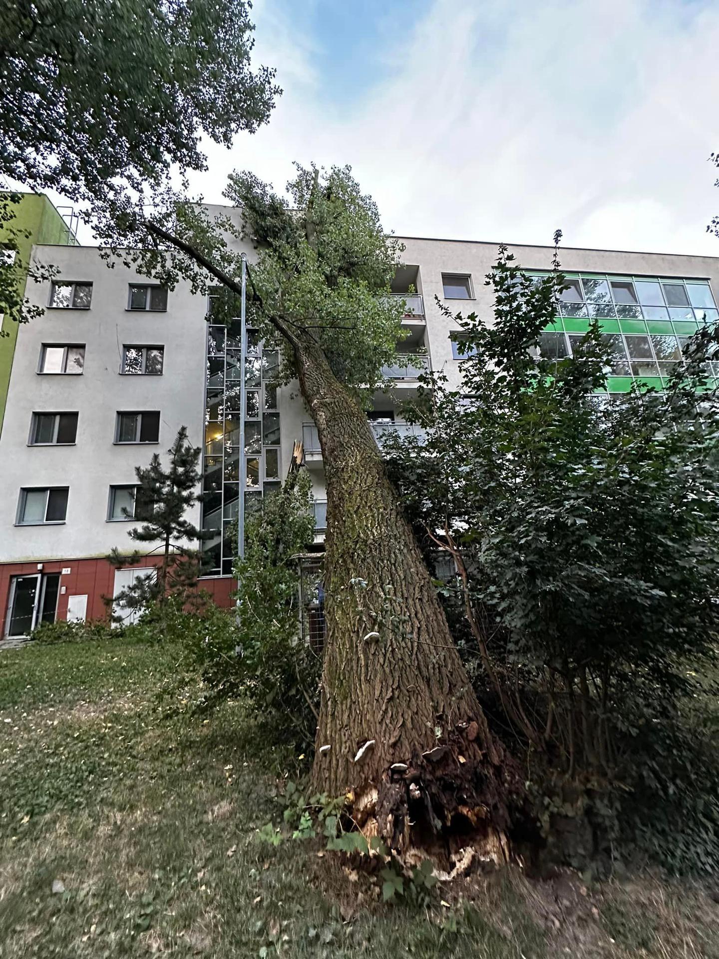 Spadnutý strom poškodil bytovku v Bratislave.
