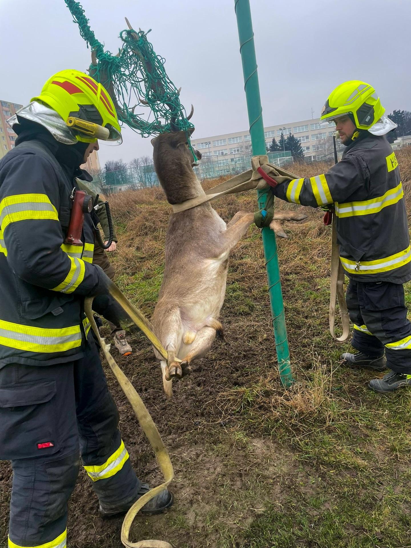 Hasiči zachraňovali zviera