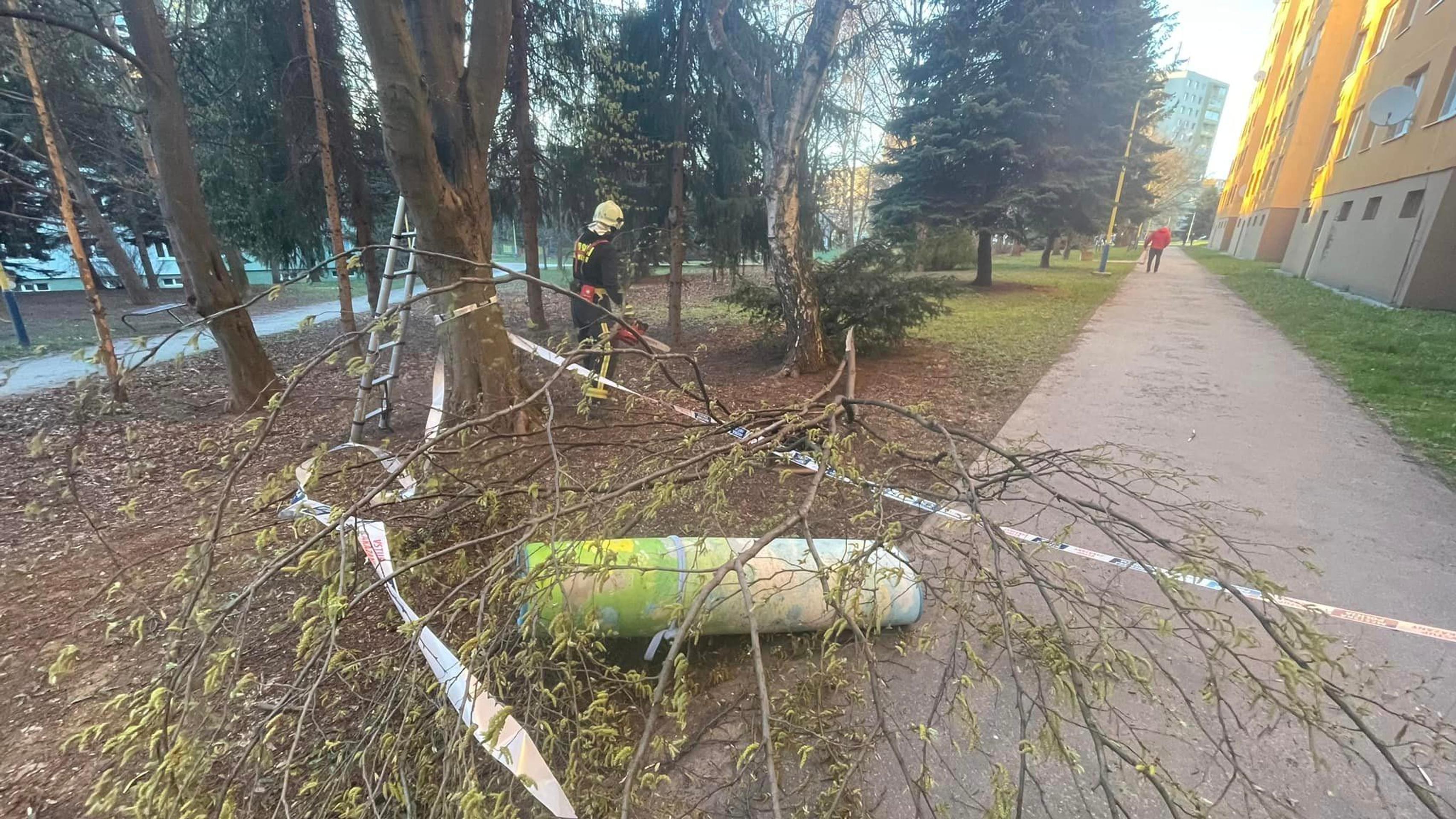 Hasiči v Prešove museli odstrániť koberec z koruny stromov.