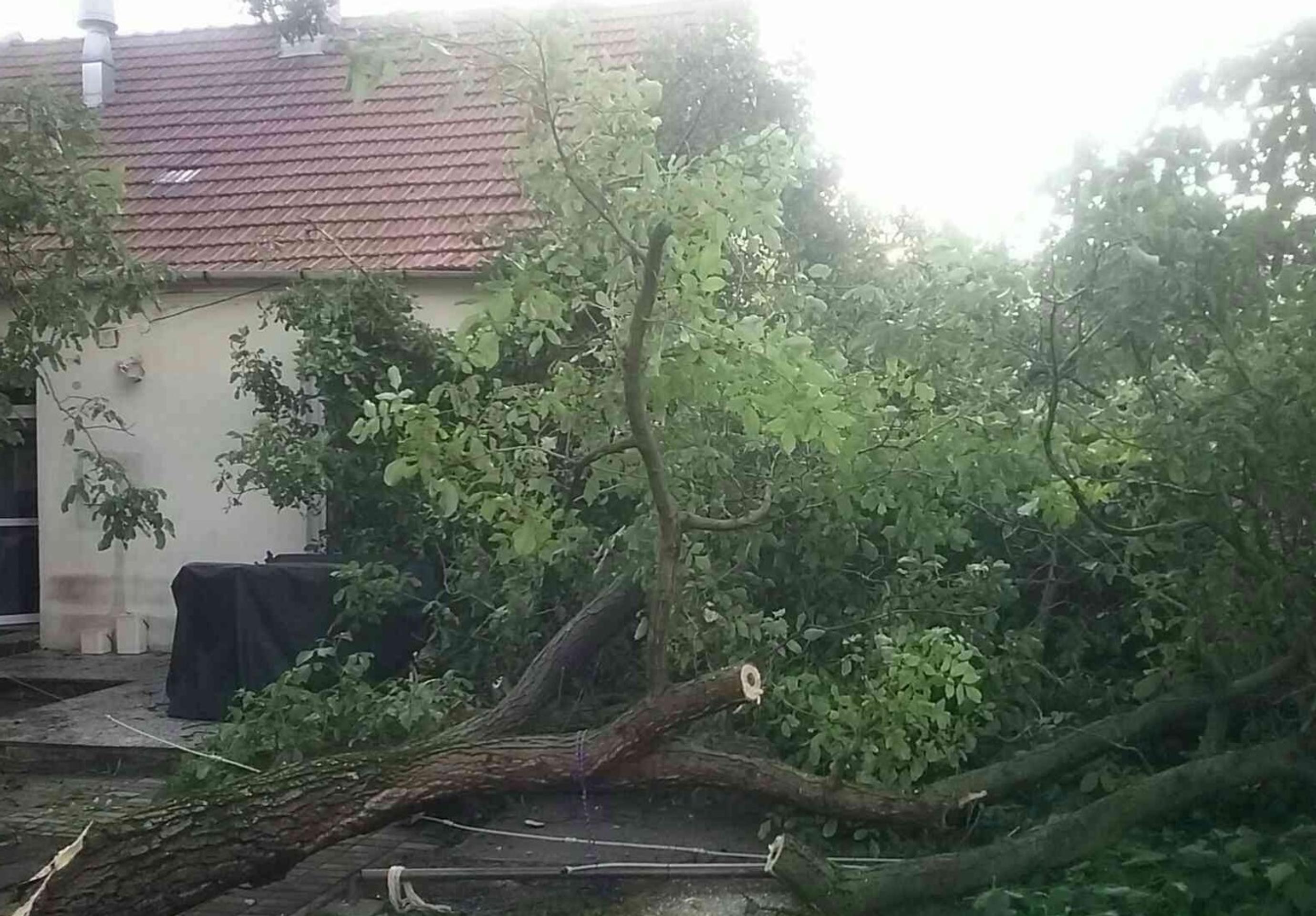 Prebudila sa sopka Asama