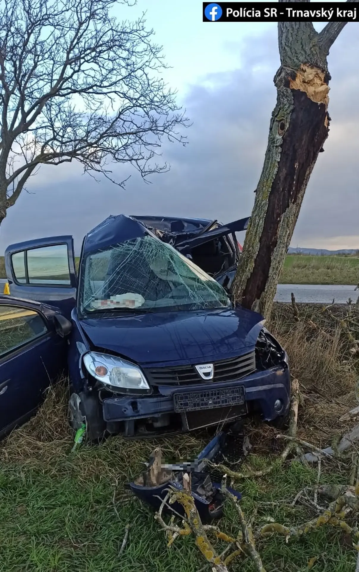 Auto sa doslova zakliesnilo do stromu.