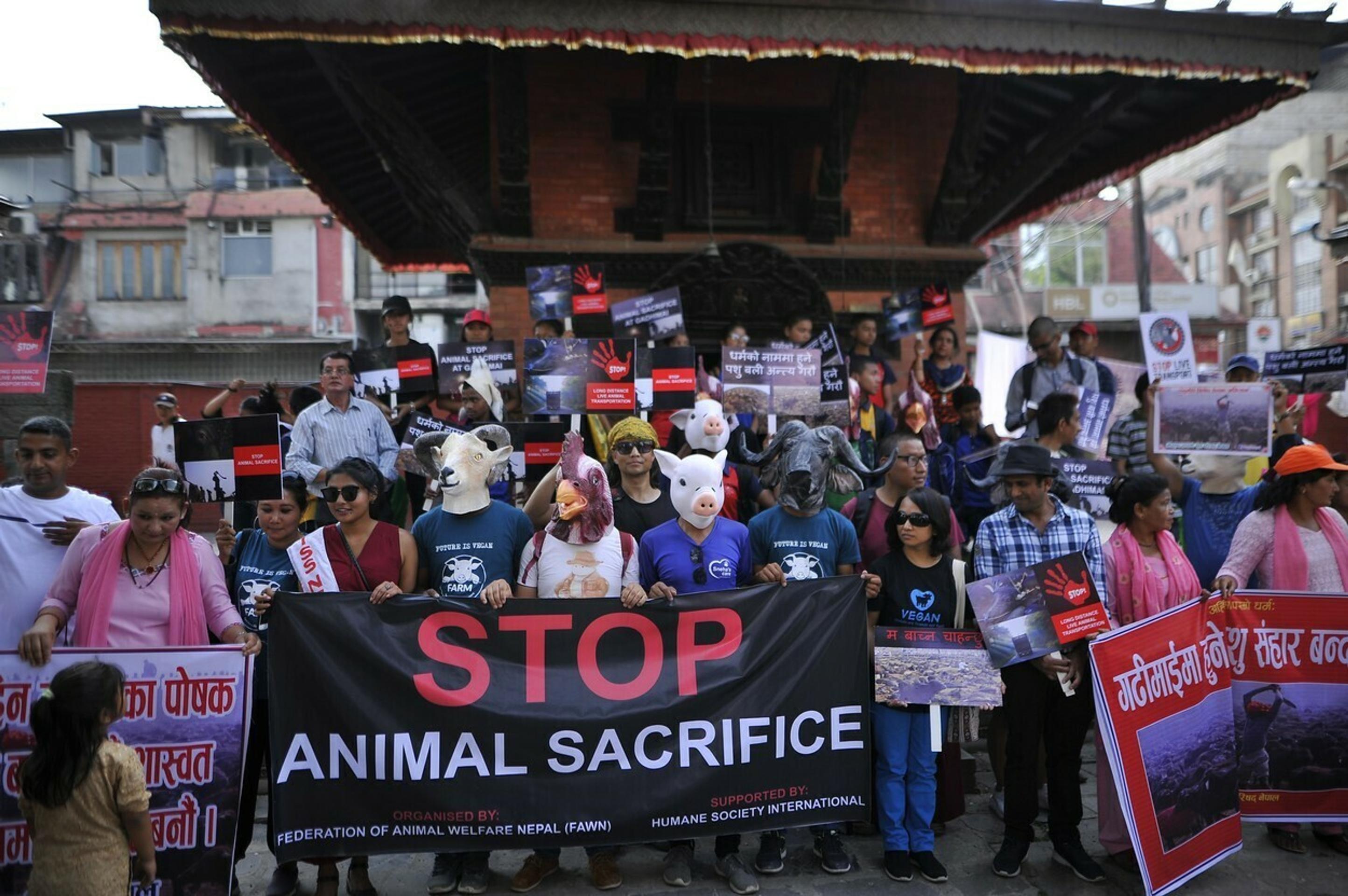 Najväčšie obetovanie zvierat na svete v Nepále