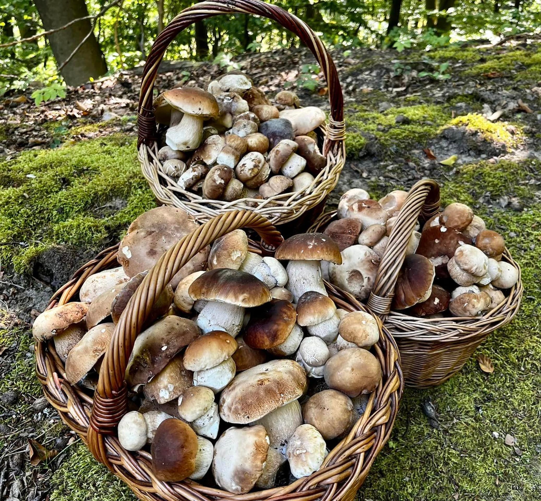 Slavomír Čičkán našiel toto všetko v Považskej Bystrici.