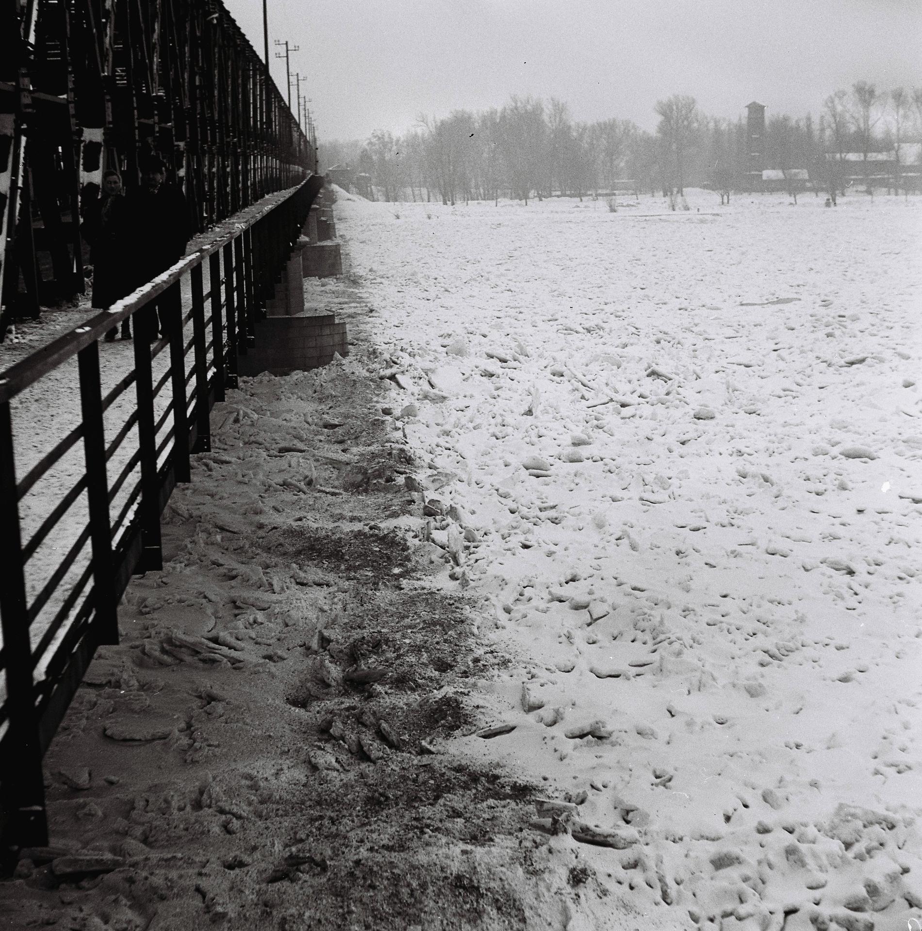 Zamrznutý Dunaj počas zimy v roku 1956.