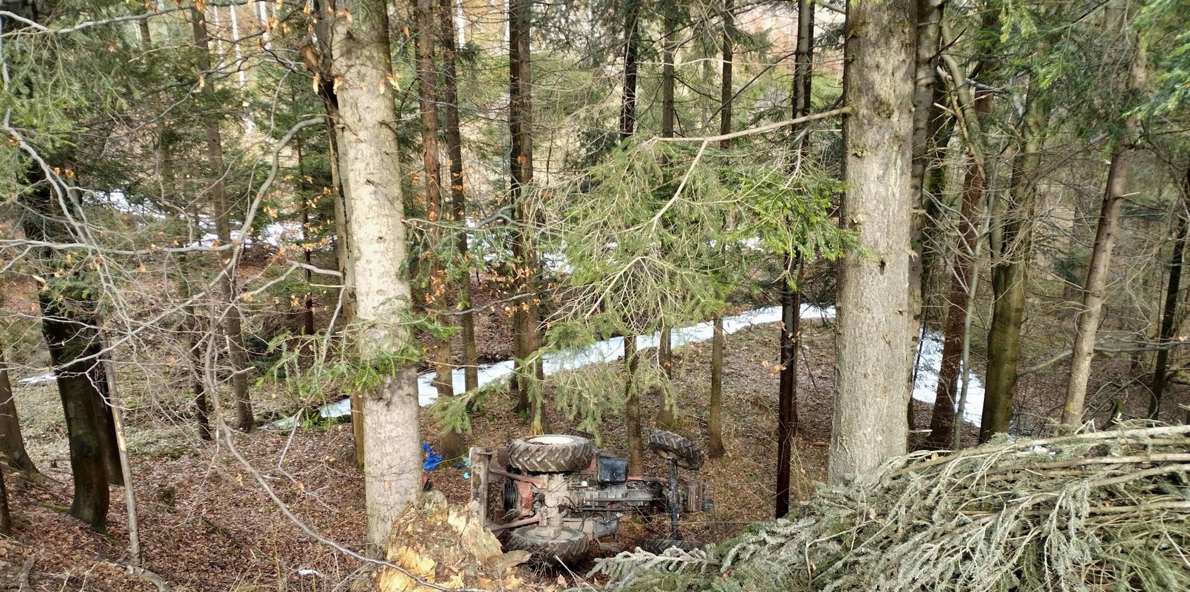 Nehoda sa stala na lesnej ceste