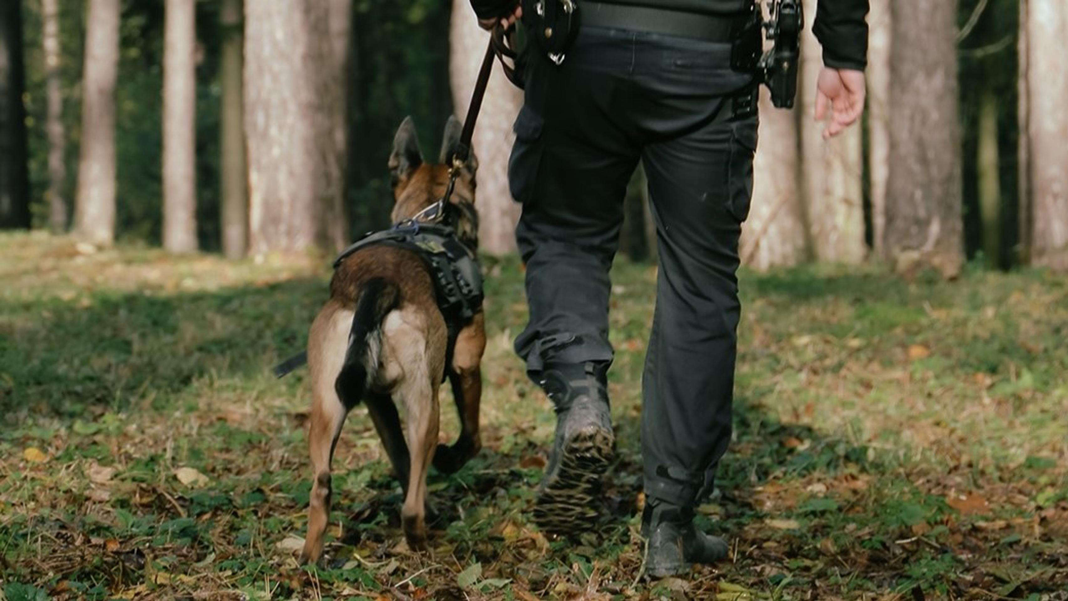 Tajomstvá o policajných psoch