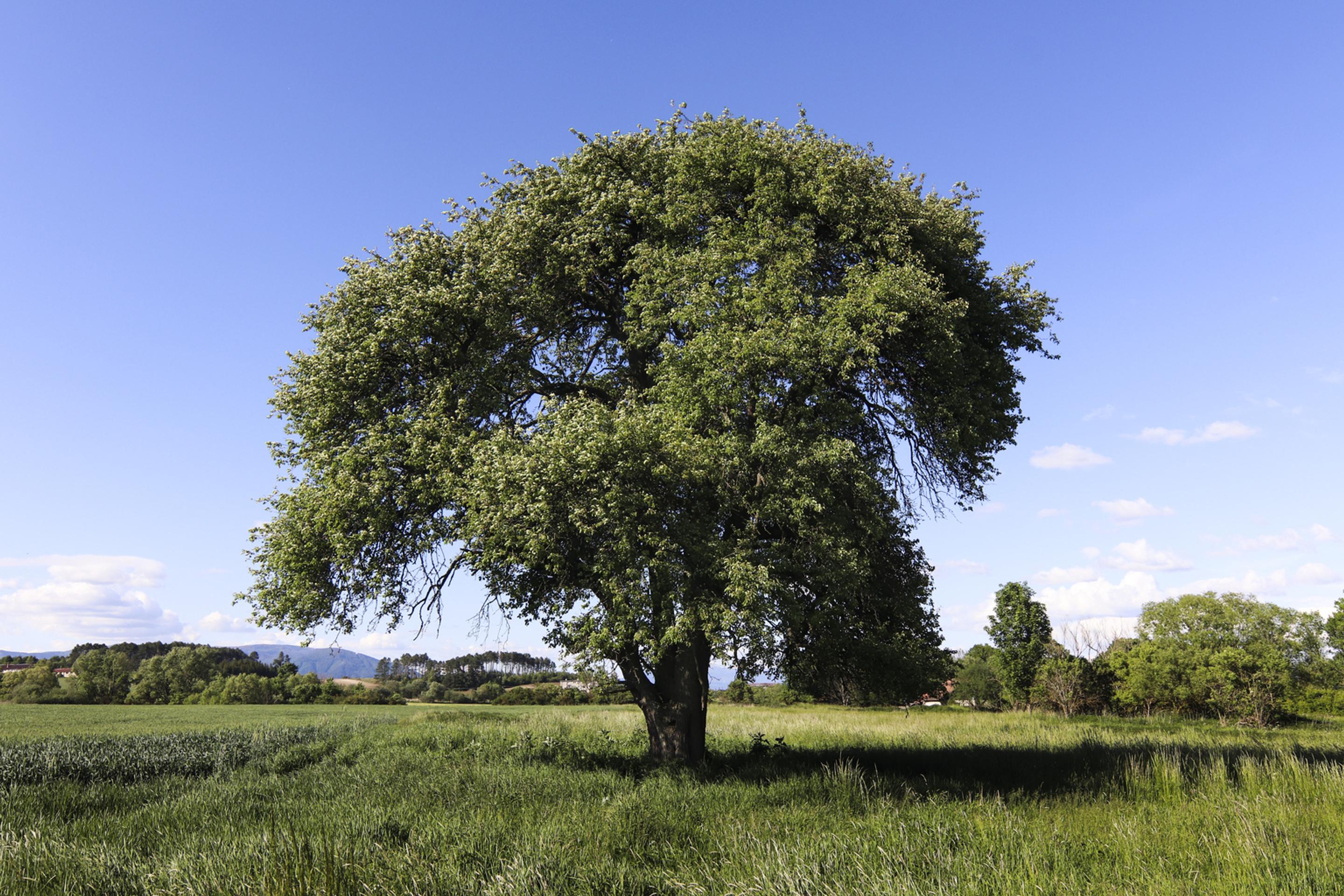 Nehoda motorkára v okrese Púchov.