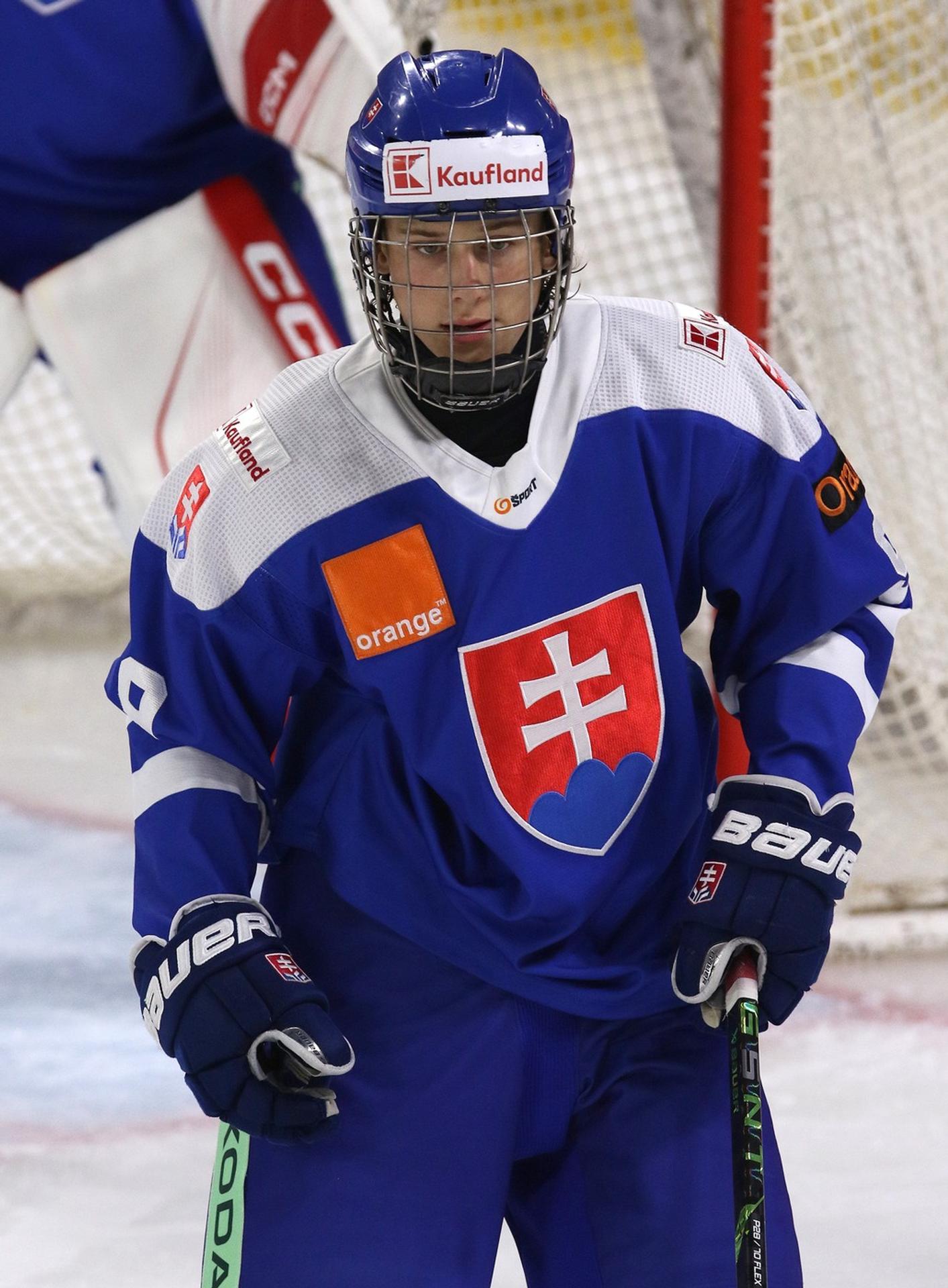 Mladý obranca Luka Radivojevič patrí k veľkým talentom slovenského hokeja.
