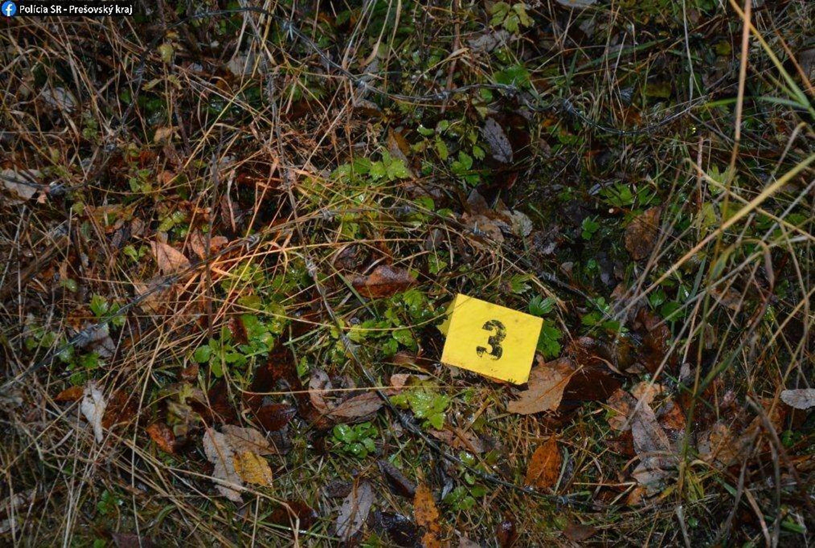 Ostnatný drôt, ktorý v lese zranil motorkára.