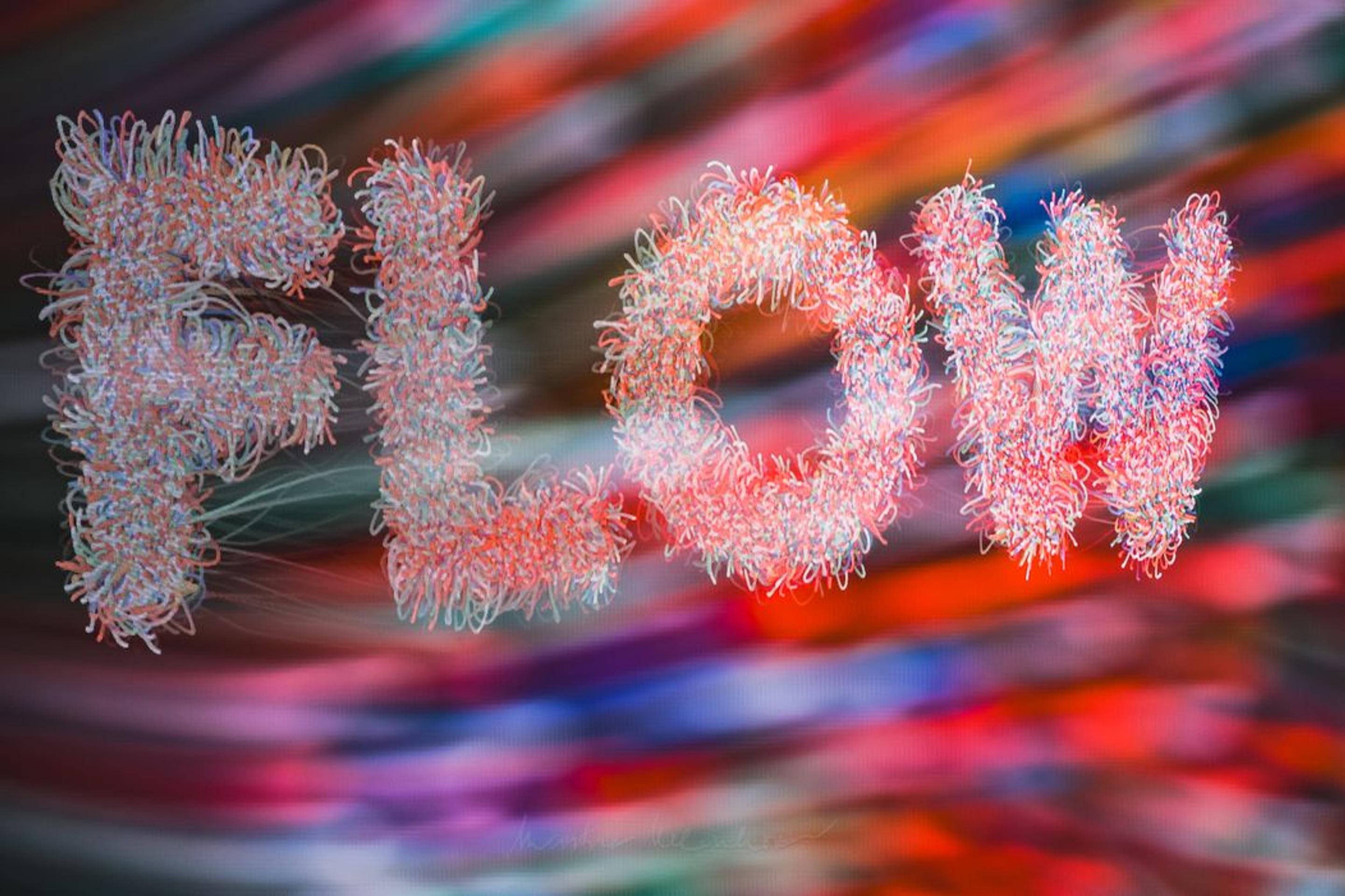 Umenie v tržnici 2025