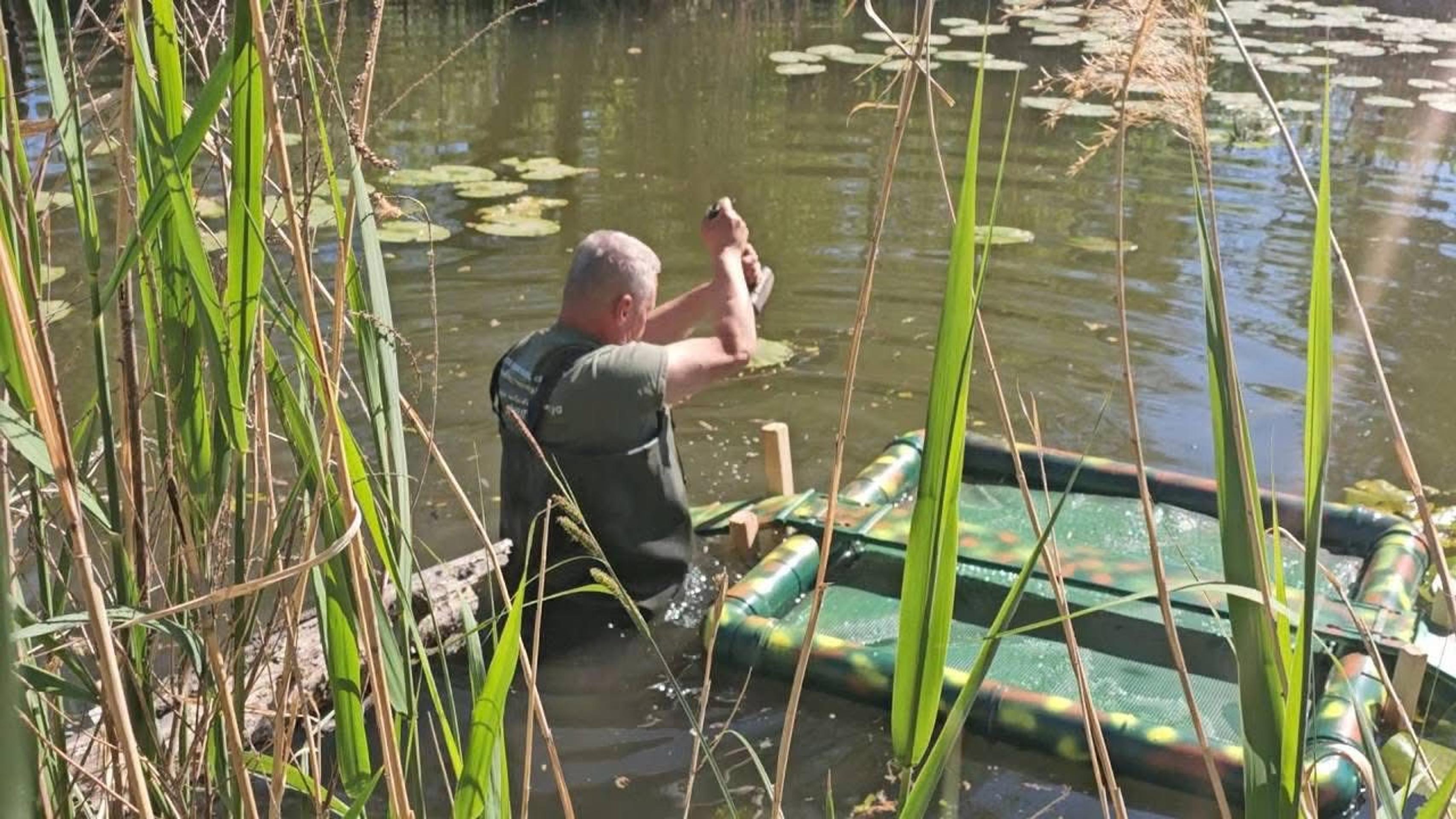 Nebezpečné korytnačky sa šíria pri Dunaji.
