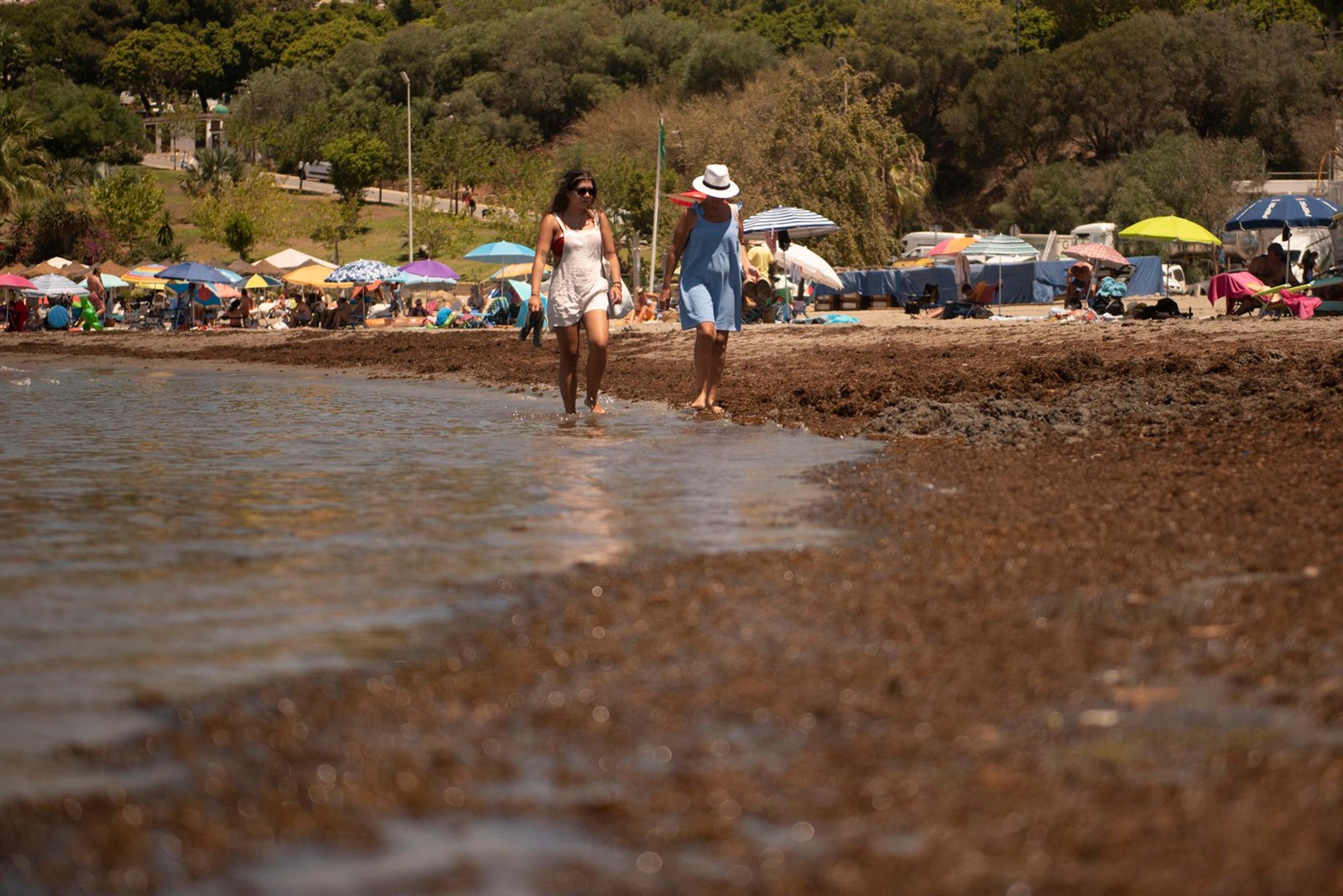 Ázijská riasa ničí pláže Španielska