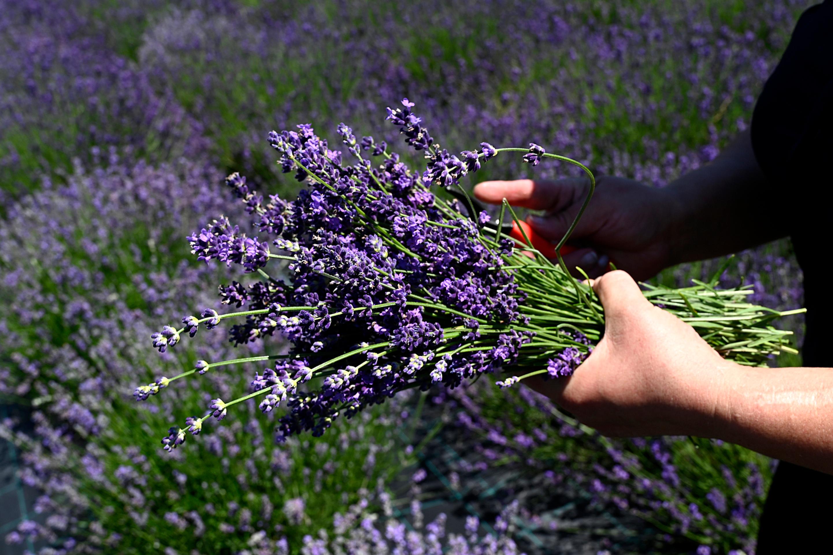 Cennet: 62. epizóda