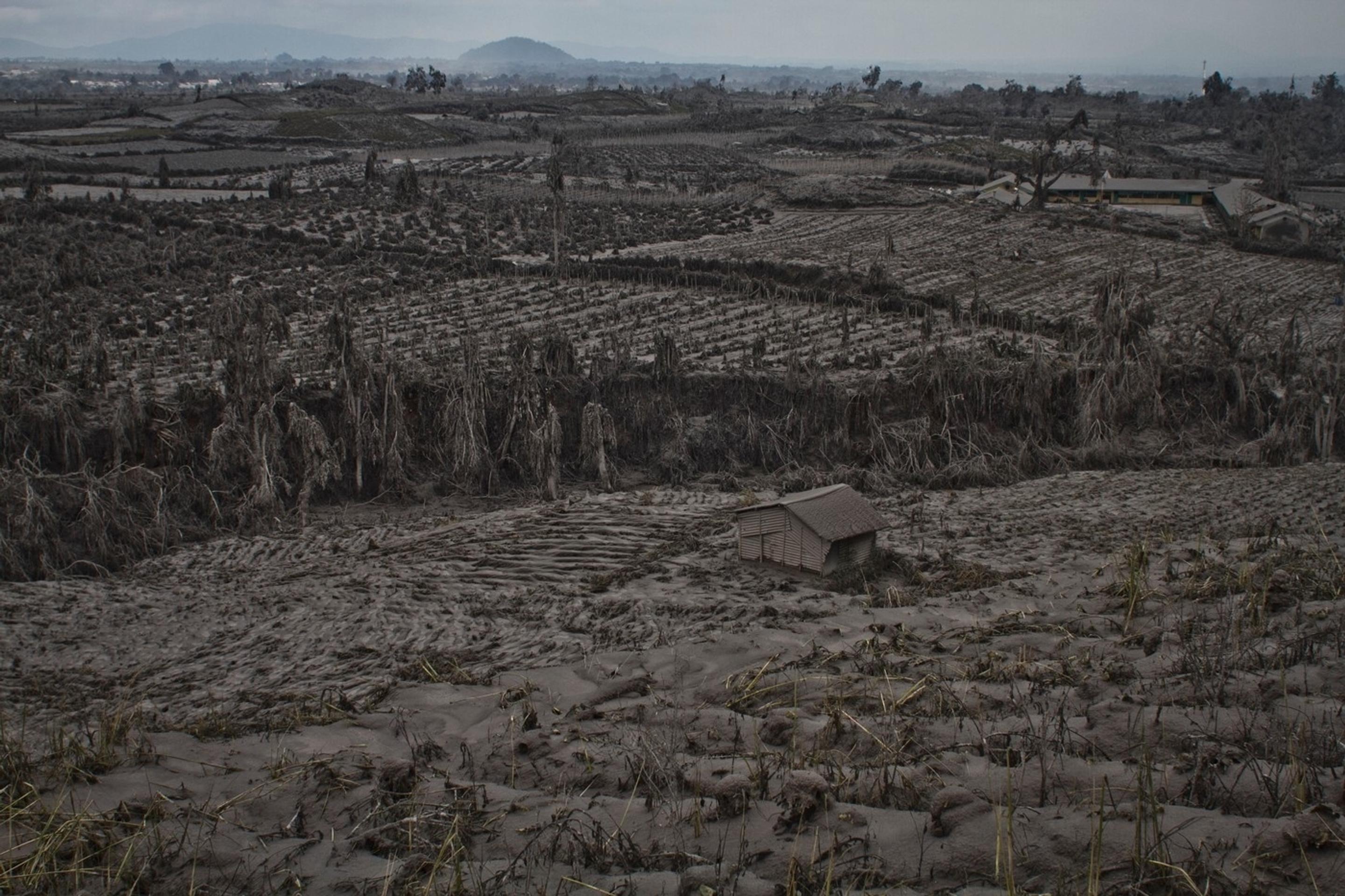 Dedina pokrytá popolom pod sopkou Sinabung 