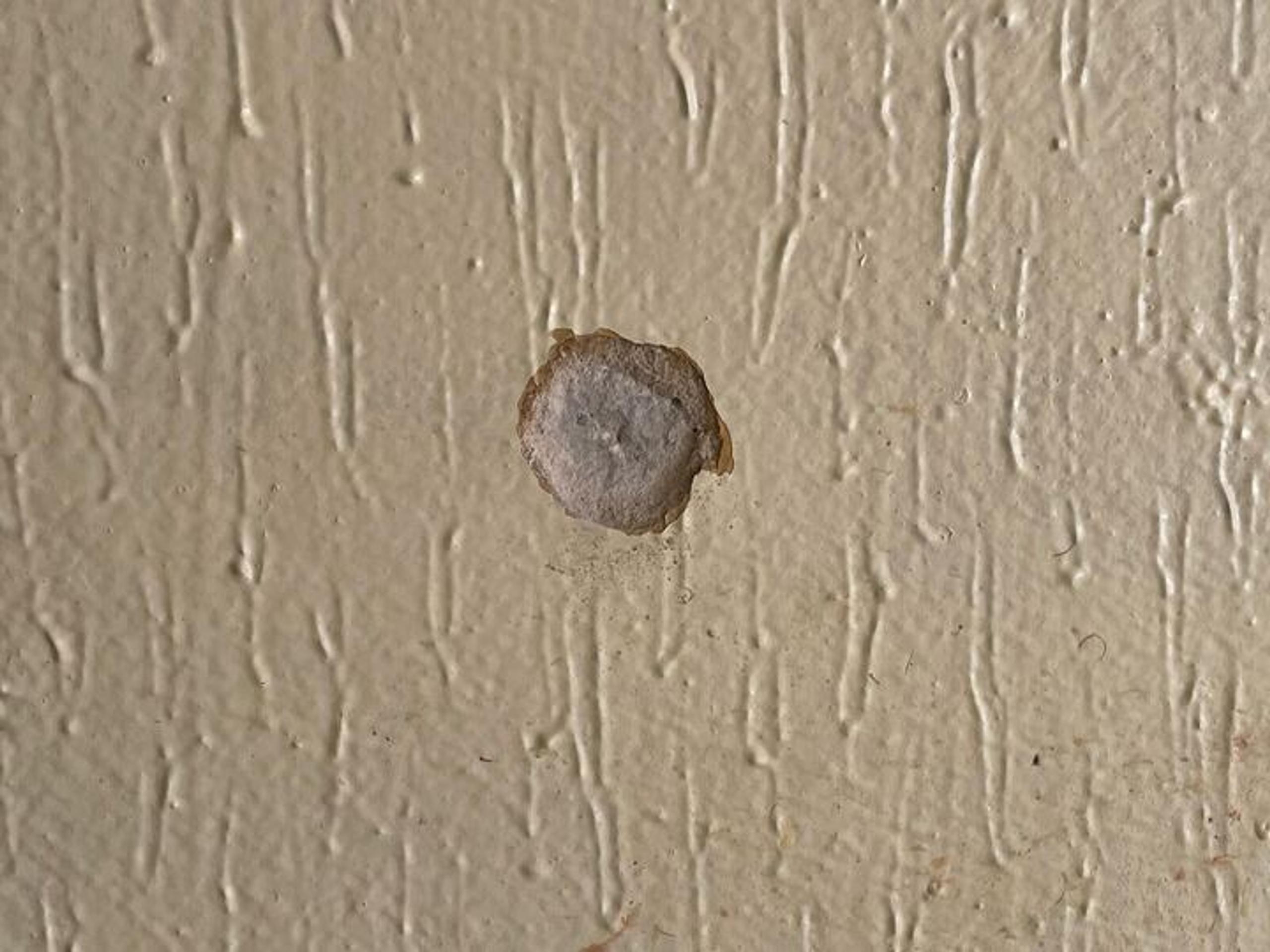 Miesto, kde policajt usmrtil strelca z Dúbravky, lemujú diery po projektiloch