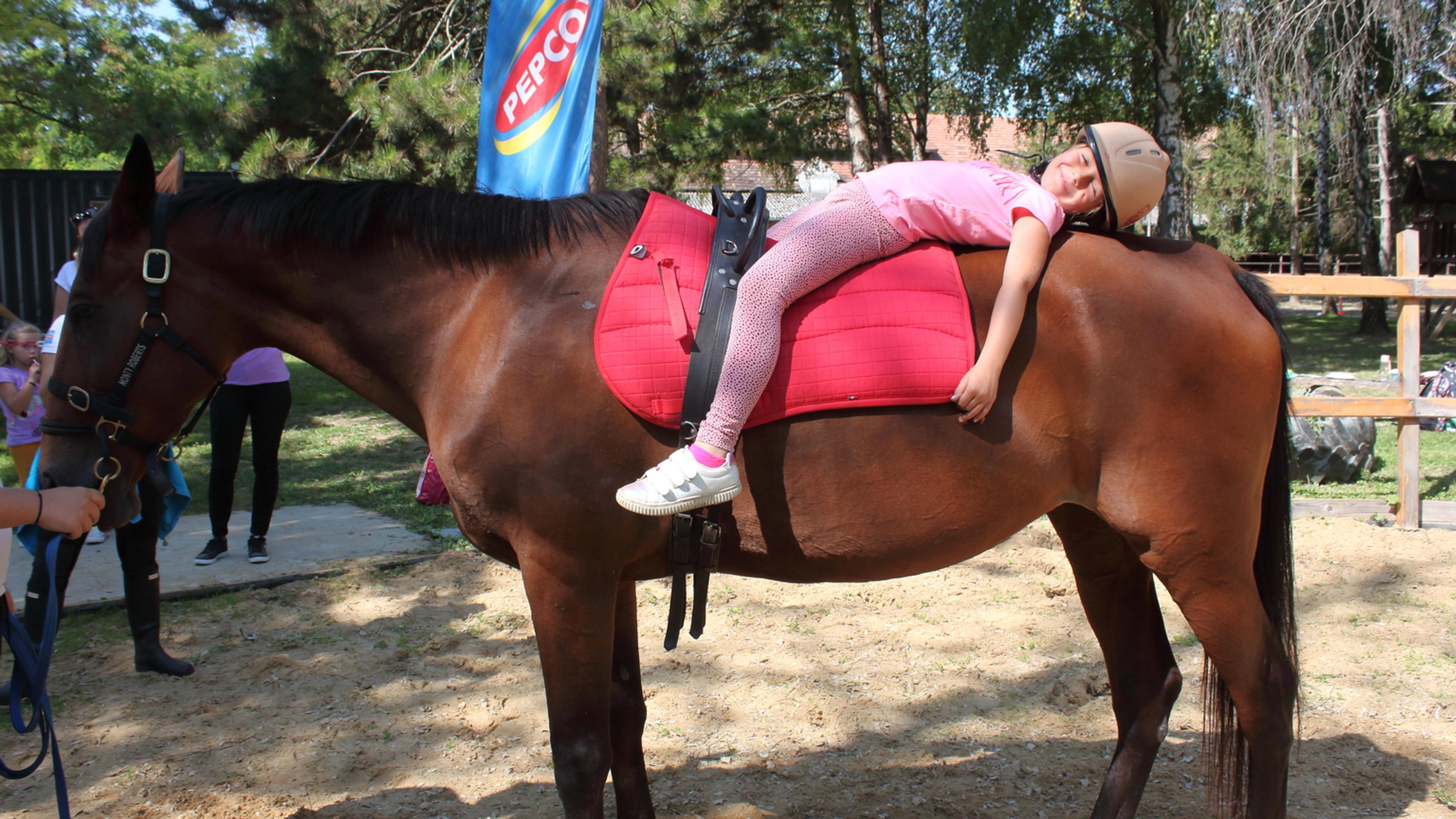 Aktivita združenia Horses Heal.