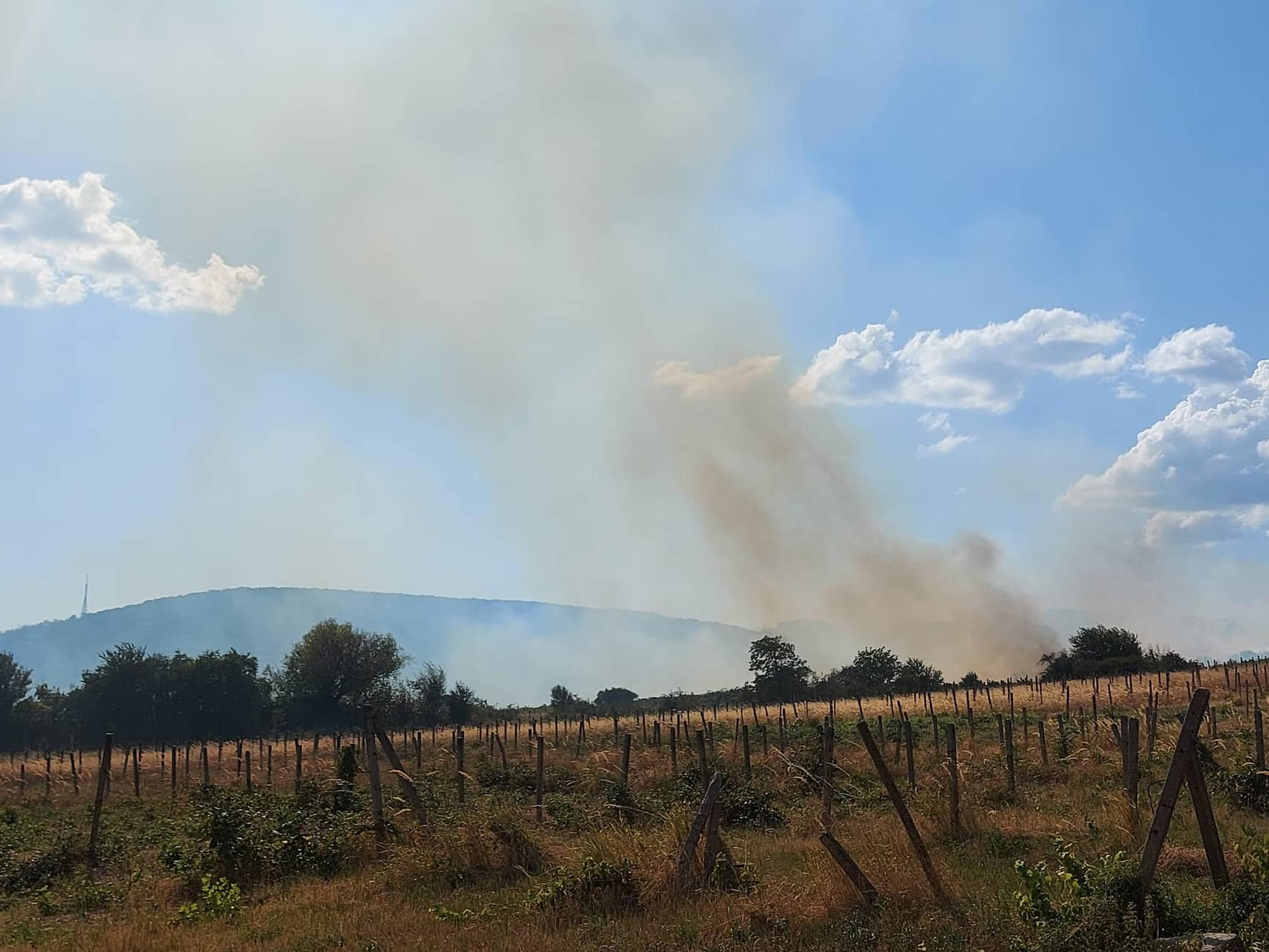 Požiar vo vinohradoch