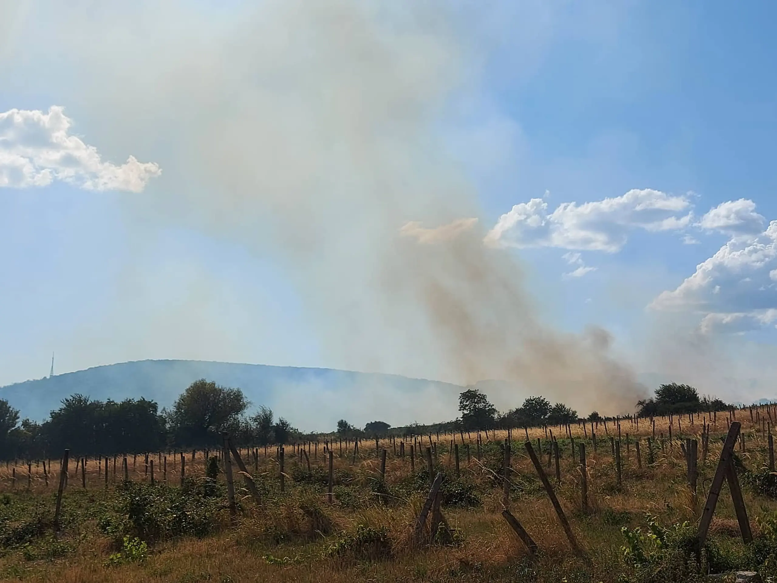 Požiar vo vinohradoch