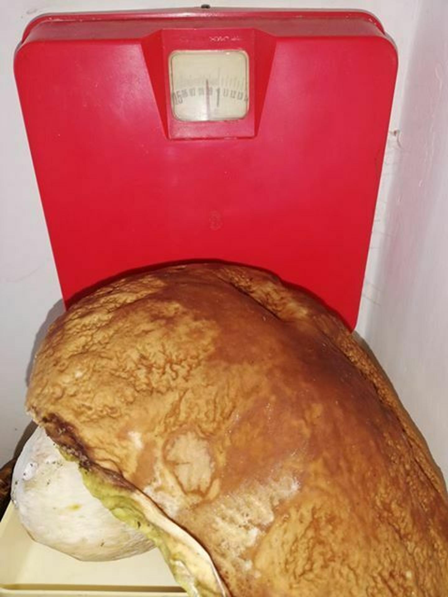 Hubársky úlovok od Ilavy.