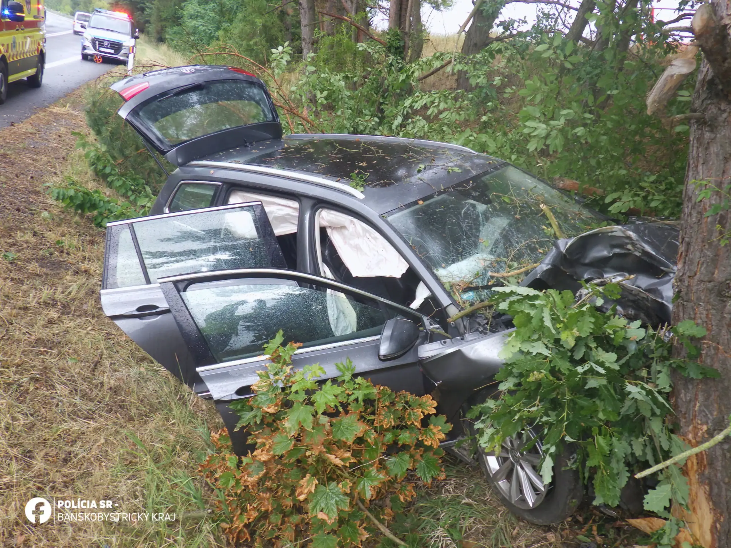Auto vrazilo do stromu