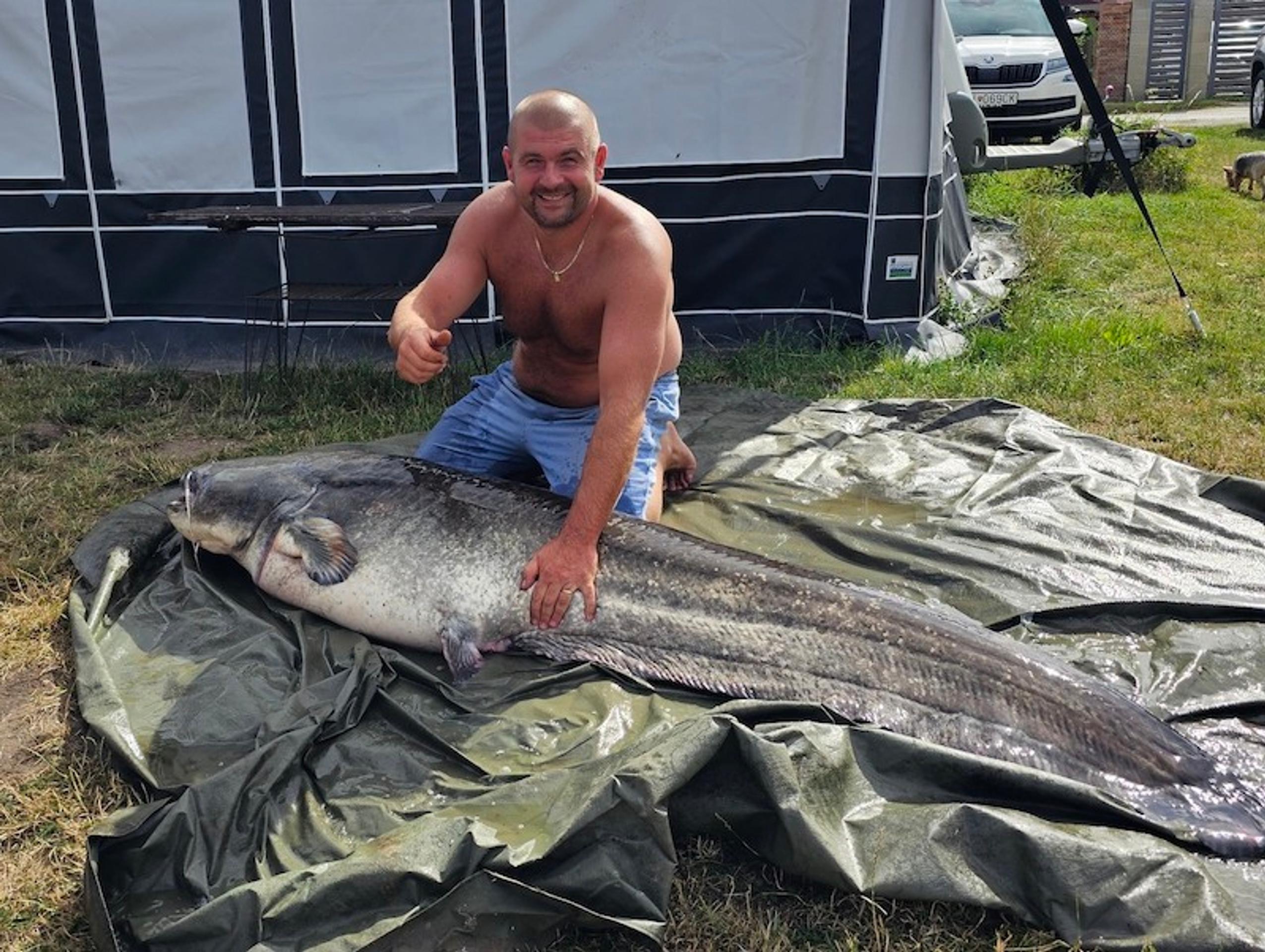 Chytenie Sumca na Adamovských jazerách