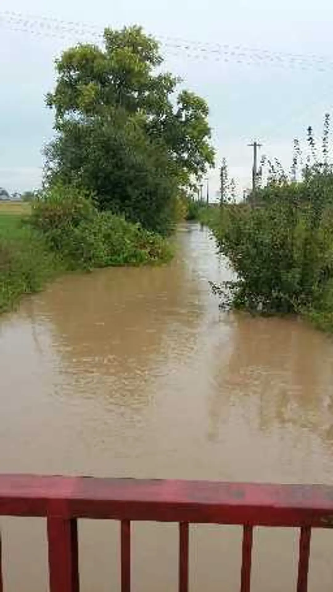 Veľká voda v Mojmírovciach.